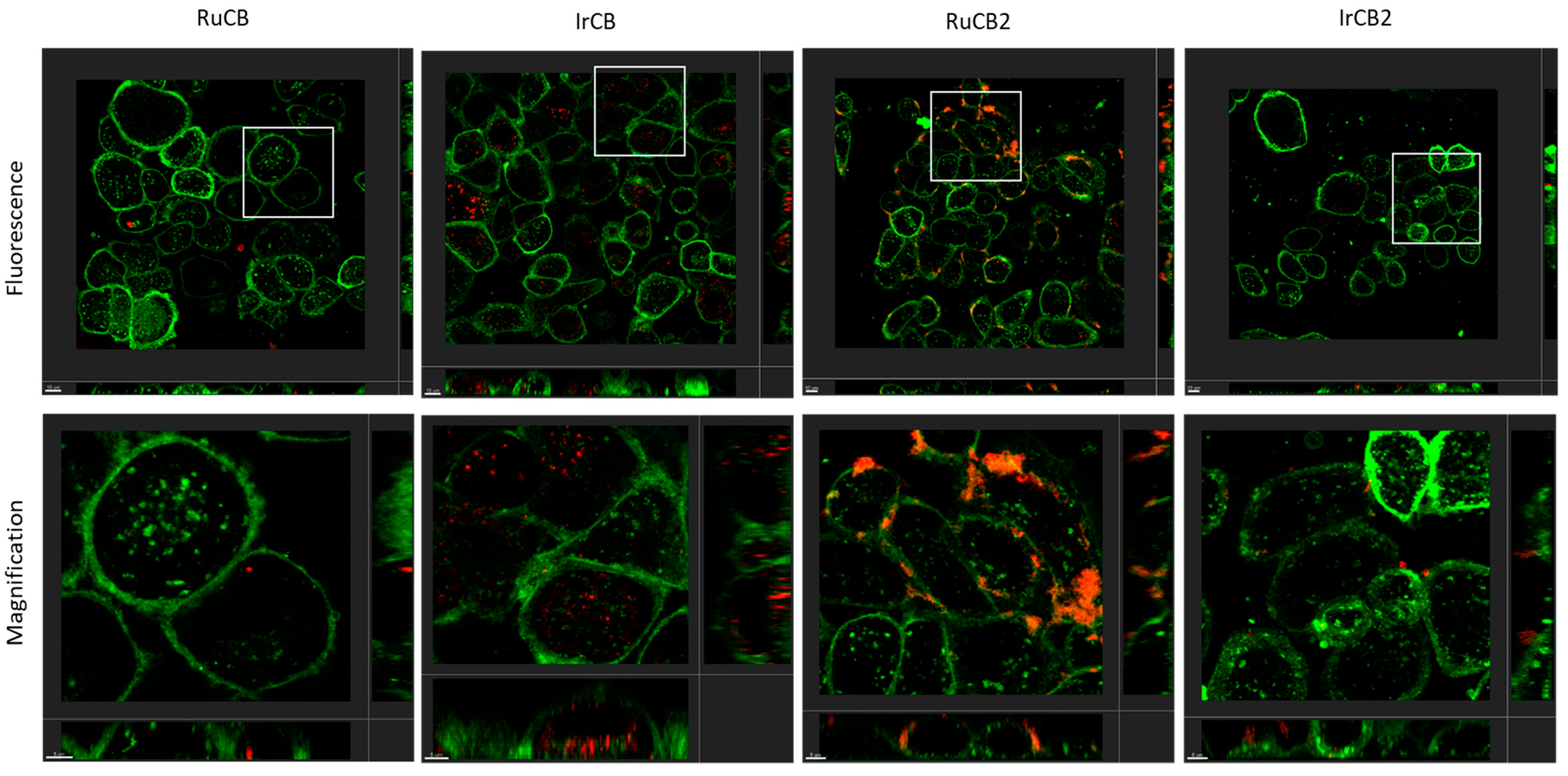 Molecules 28 04449 g018 Molecules 28 04449 g018