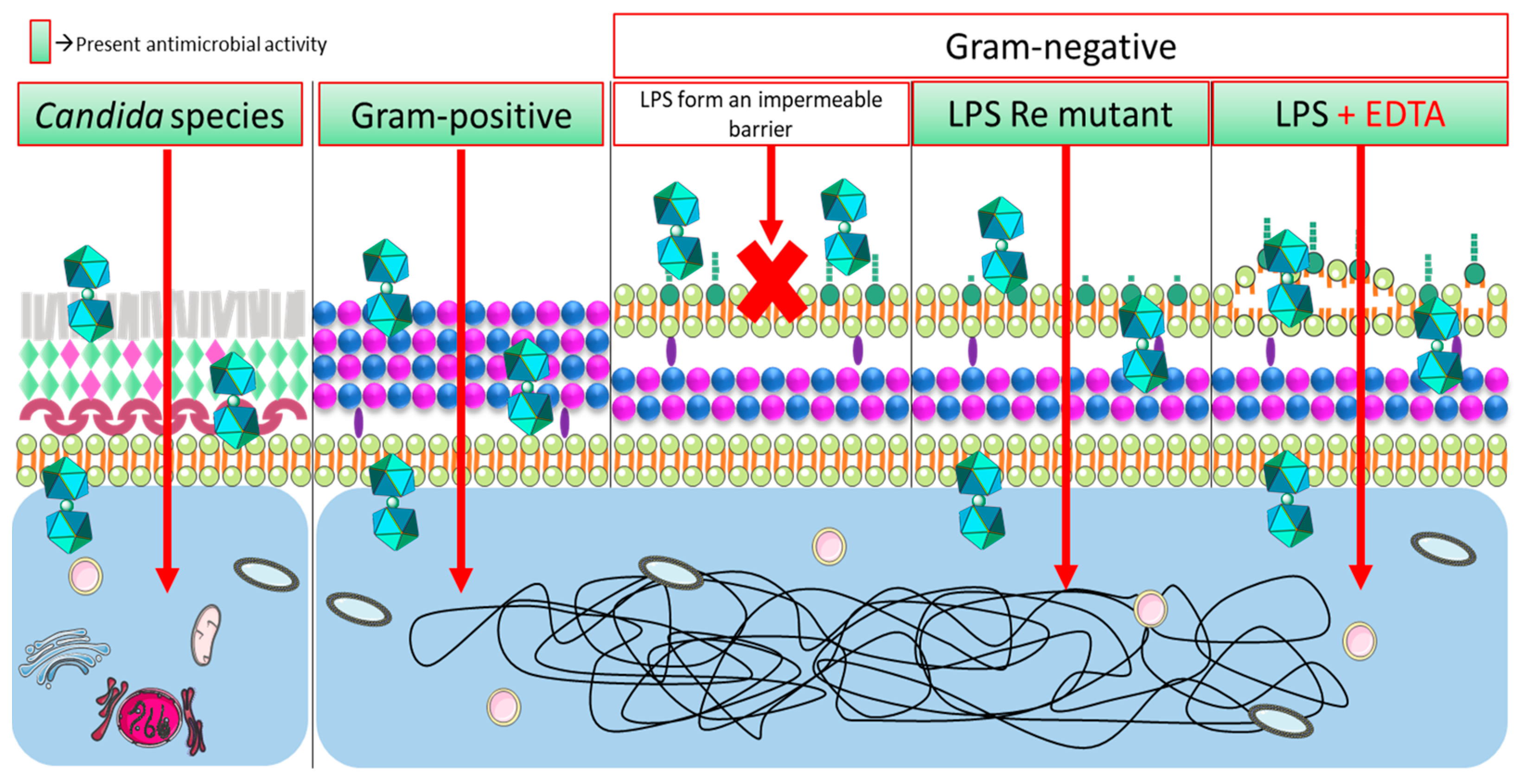 Molecules 28 04449 sch004 Molecules 28 04449 sch004