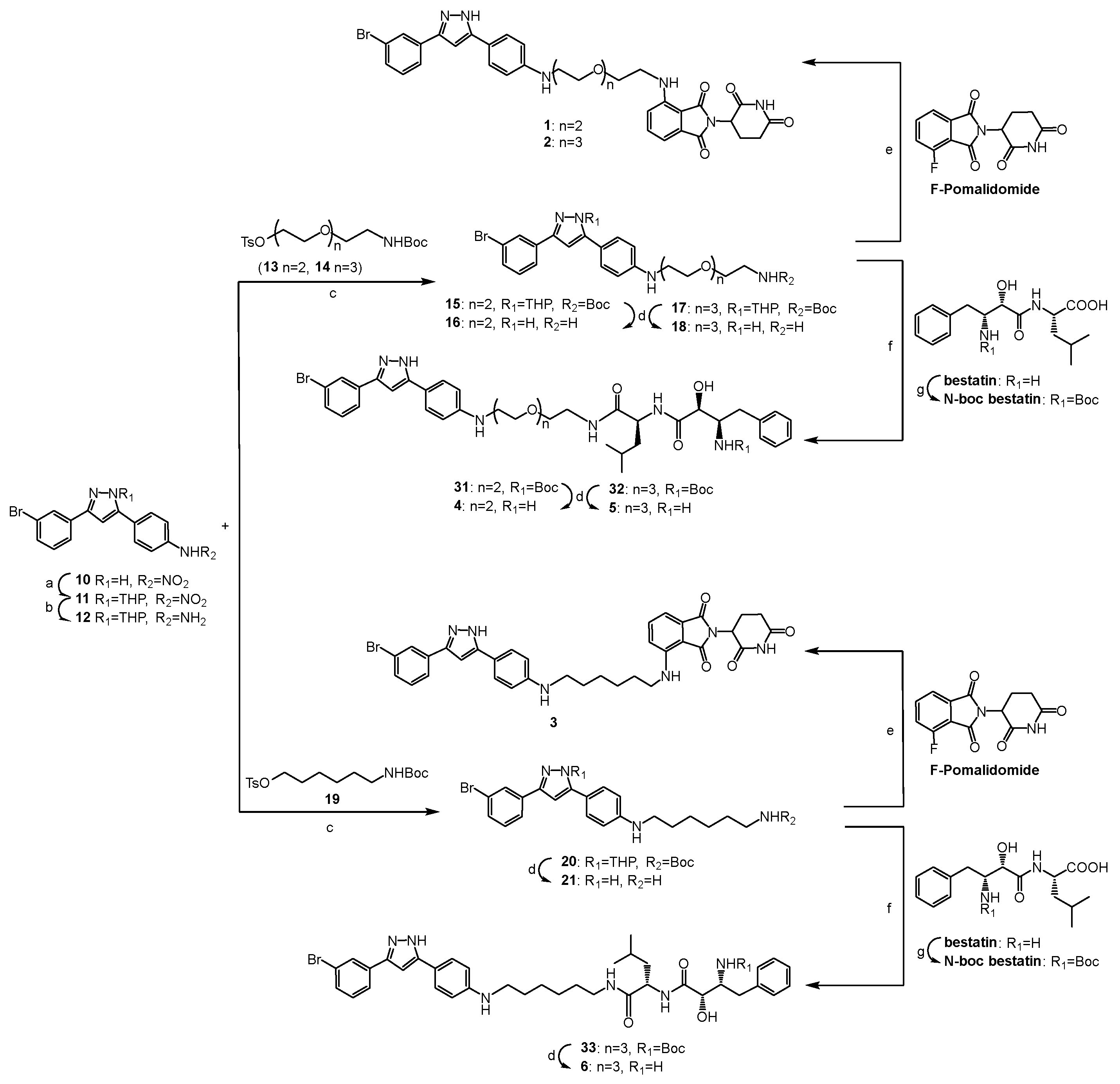 Molecules 28 04458 sch001