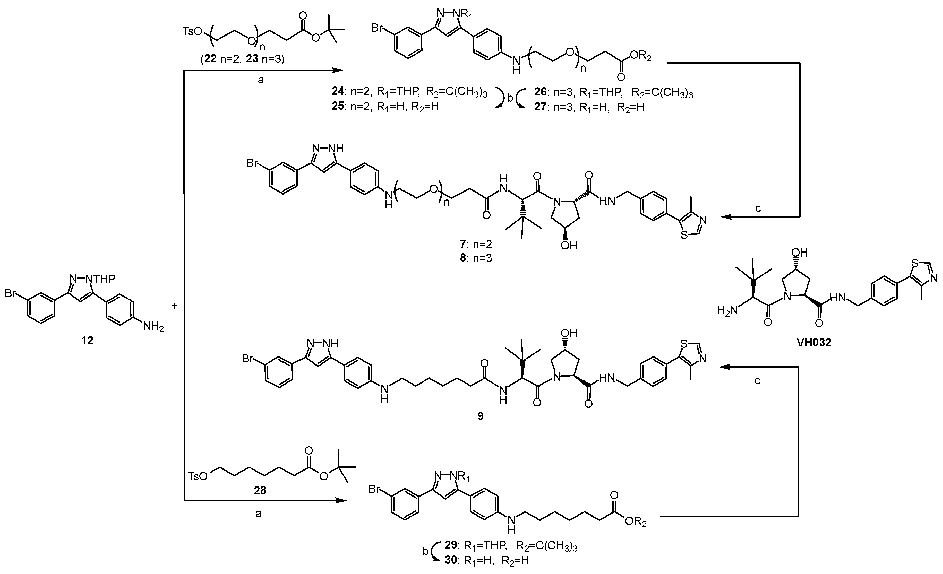 Molecules 28 04458 sch002