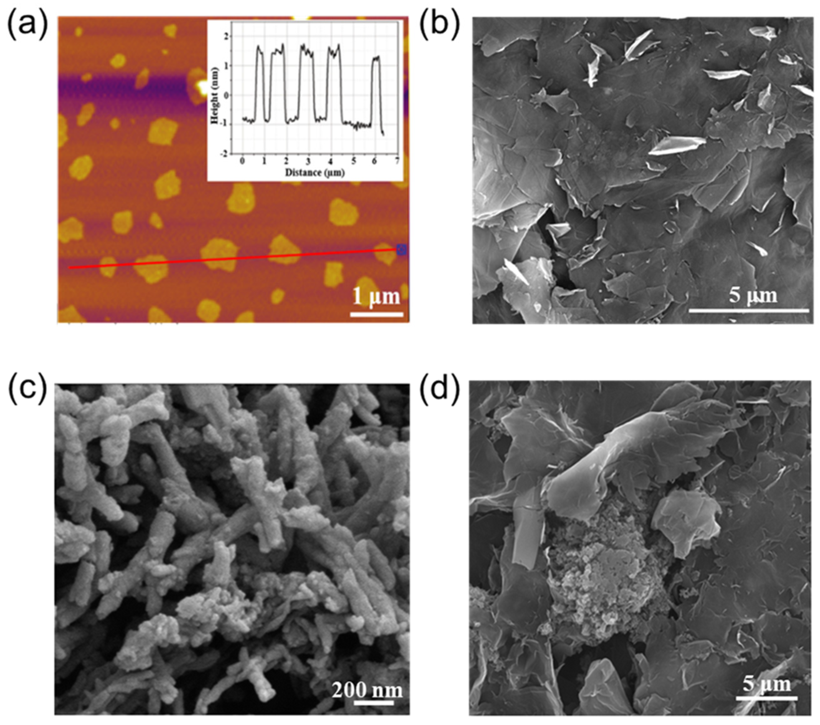 Molecules 28 04470 g002