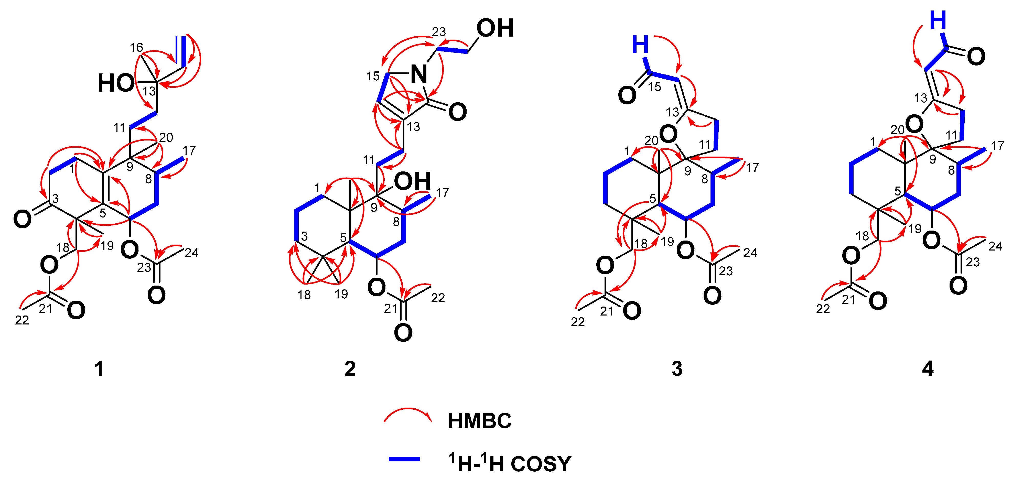 Molecules 28 04472 g002