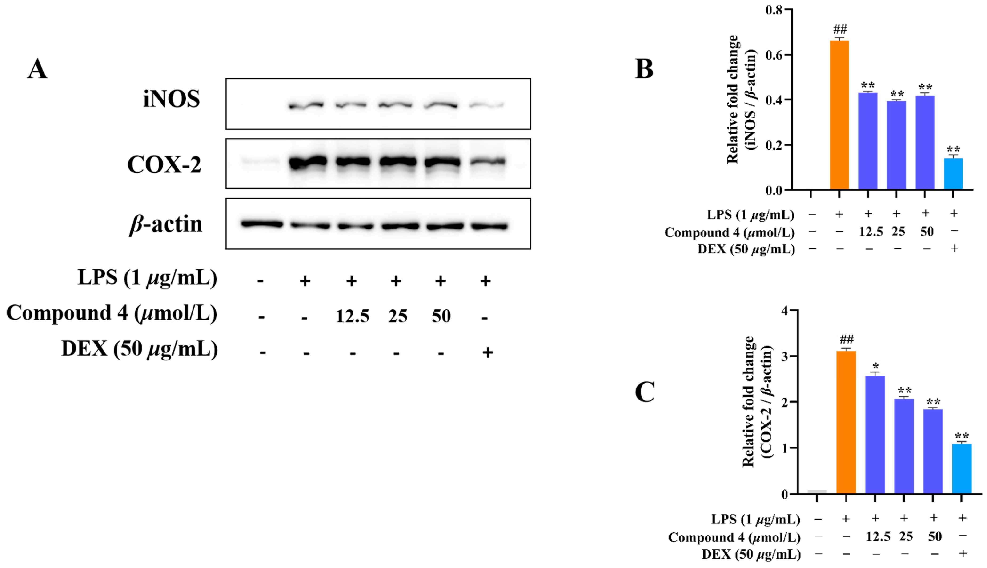 Molecules 28 04472 g010