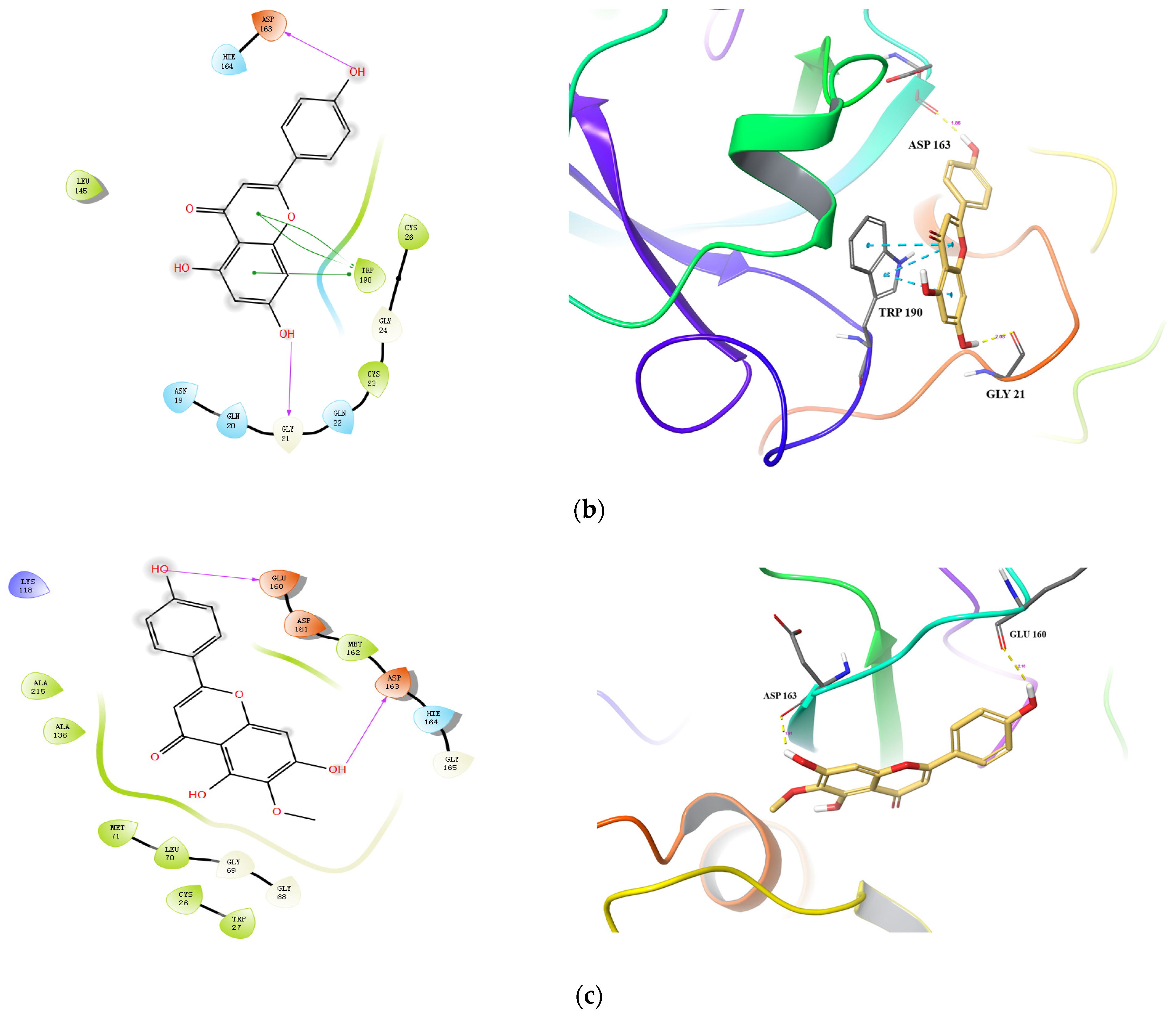 Molecules 28 04476 g004b