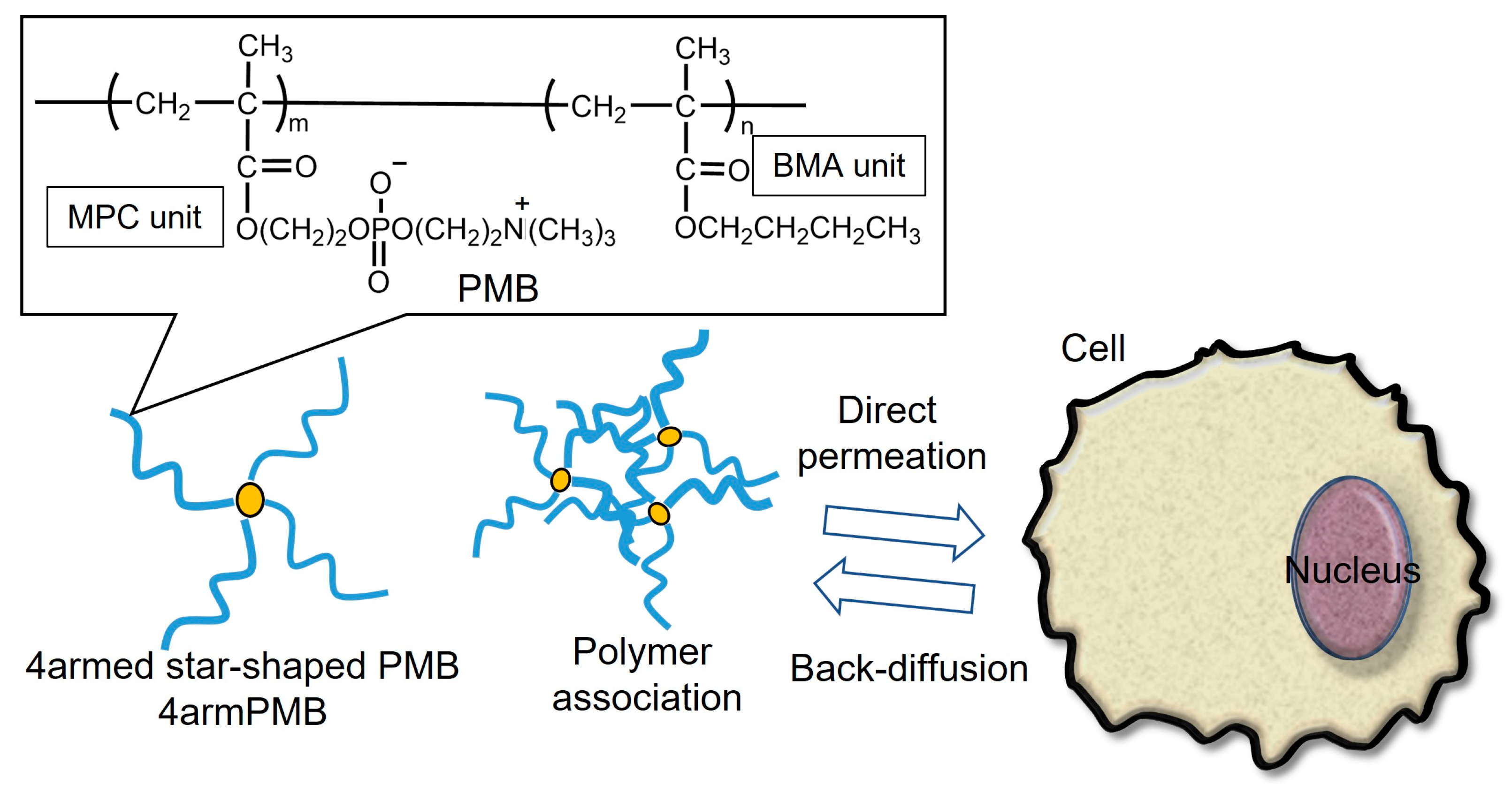Molecules 28 04479 g001