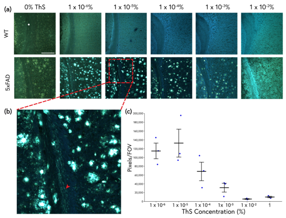 Molecules 28 04483 g003