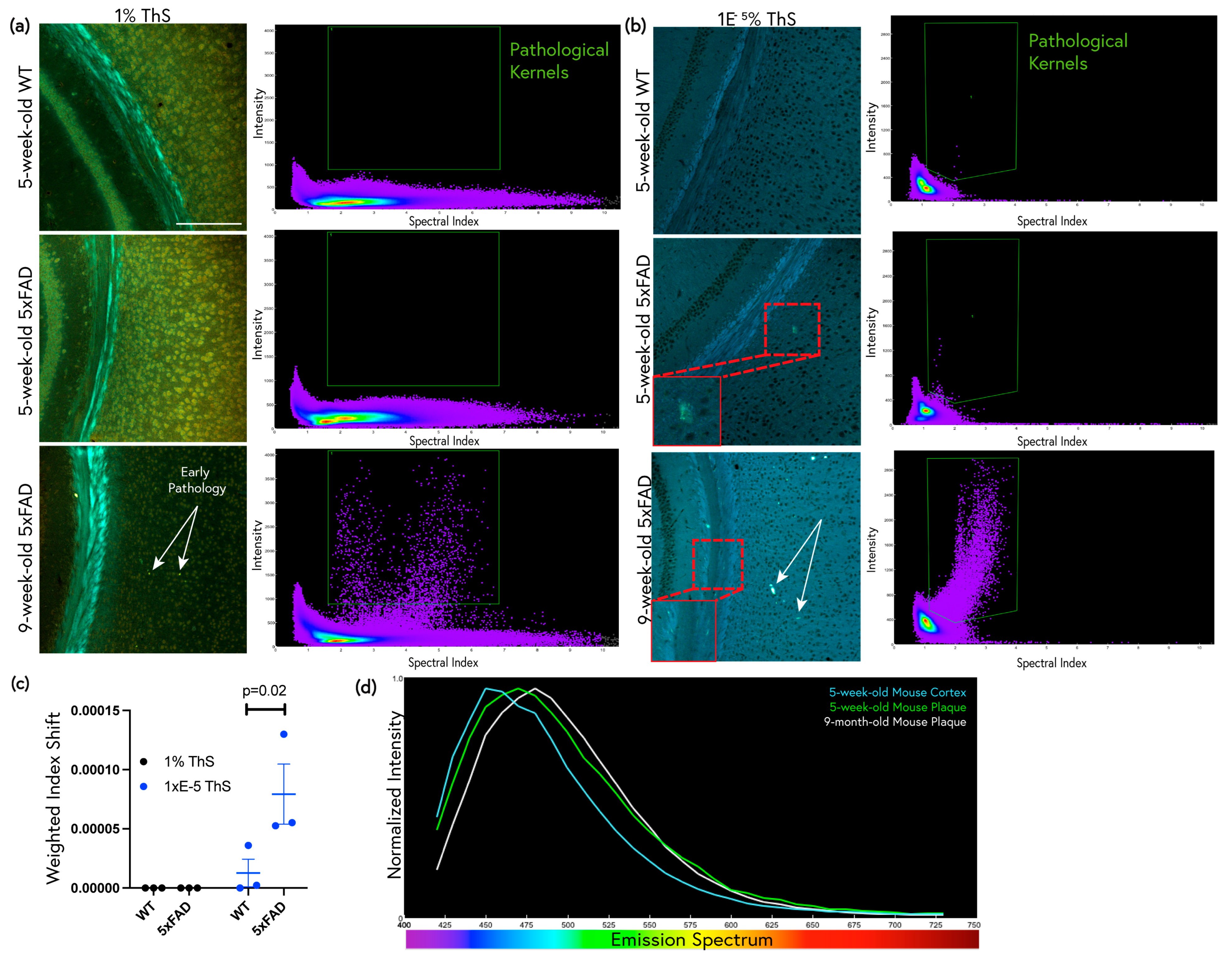 Molecules 28 04483 g006