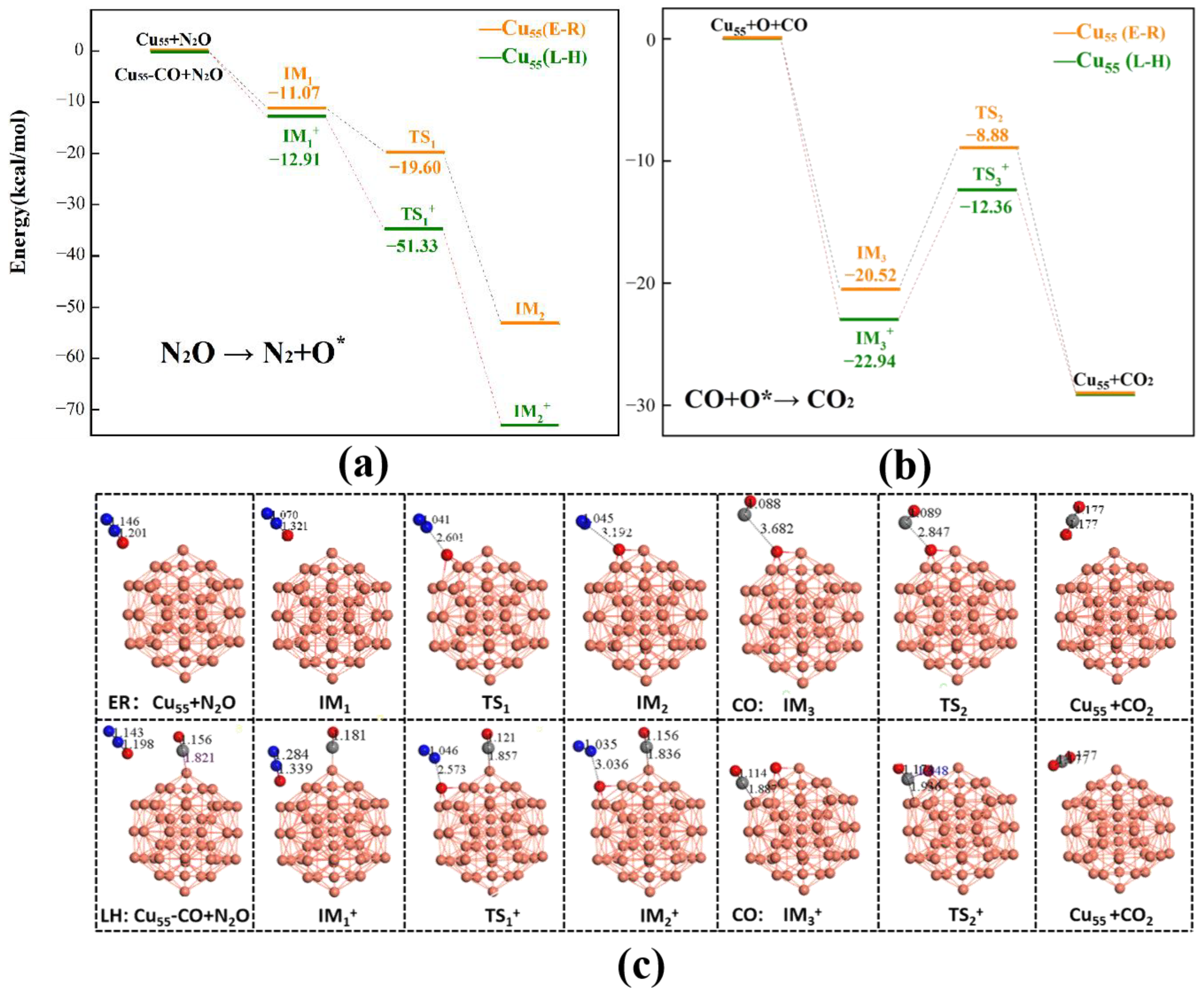 Molecules 28 04485 g003 Molecules 28 04485 g003