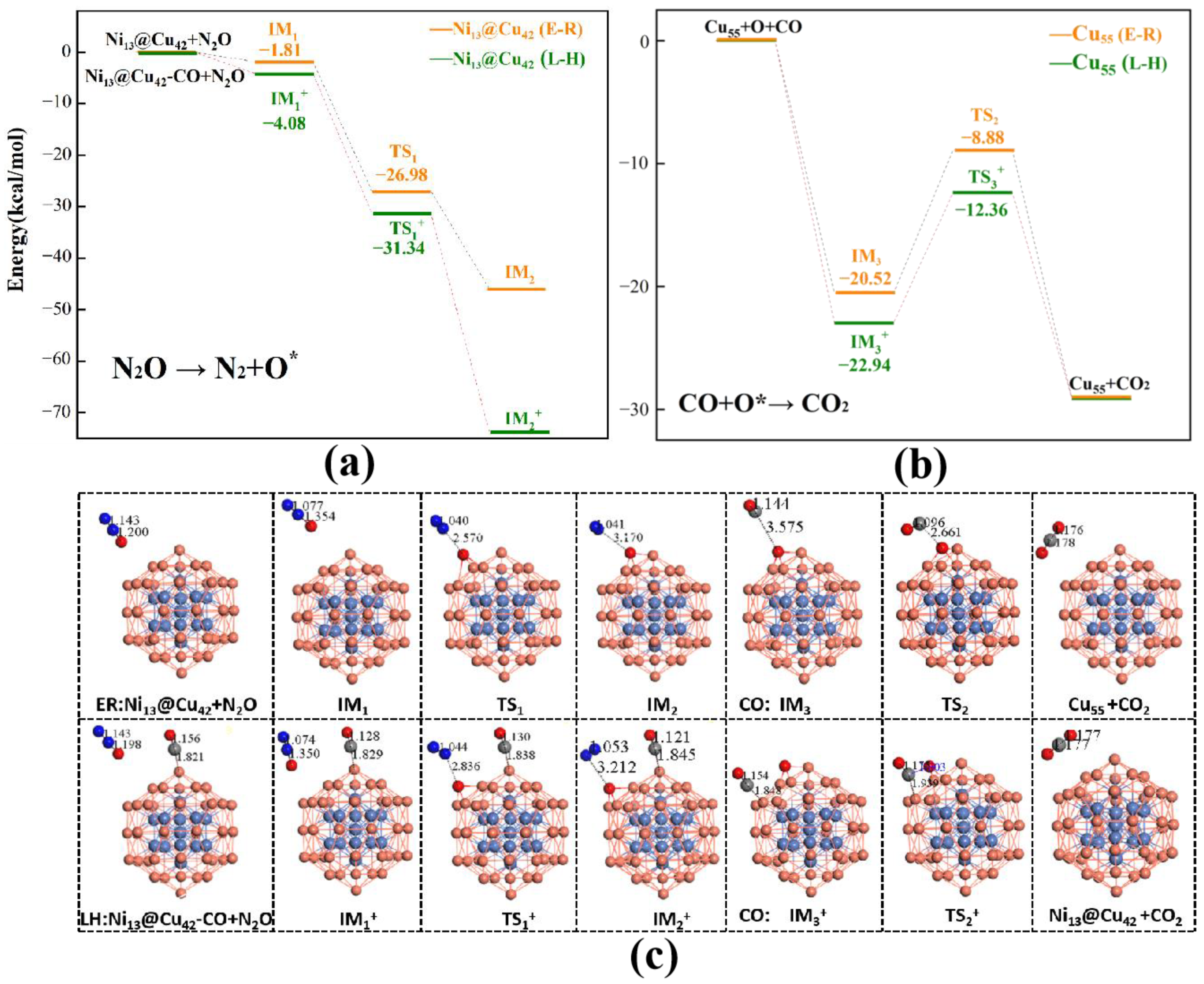 Molecules 28 04485 g004 Molecules 28 04485 g004