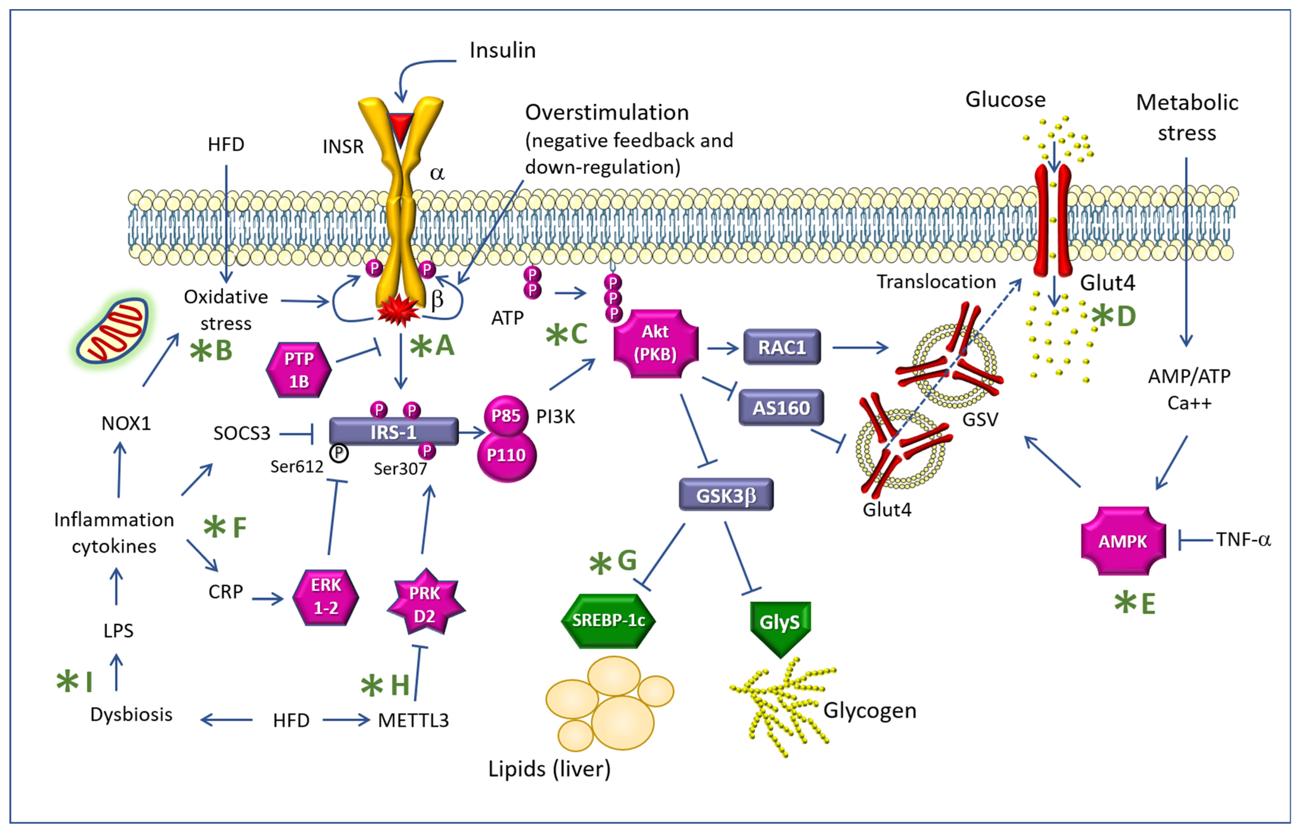 Molecules 28 04491 g002