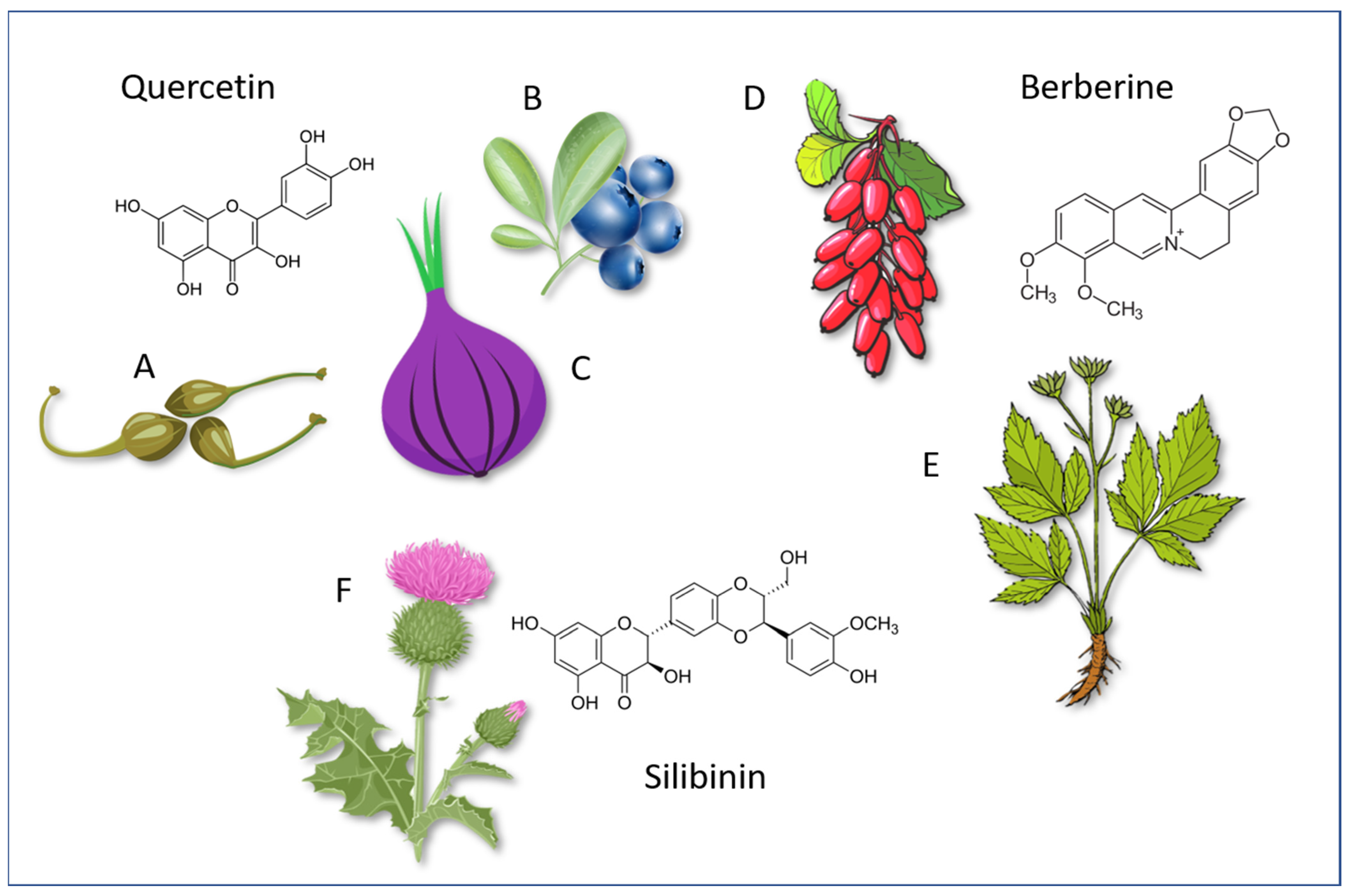 Molecules 28 04491 g003