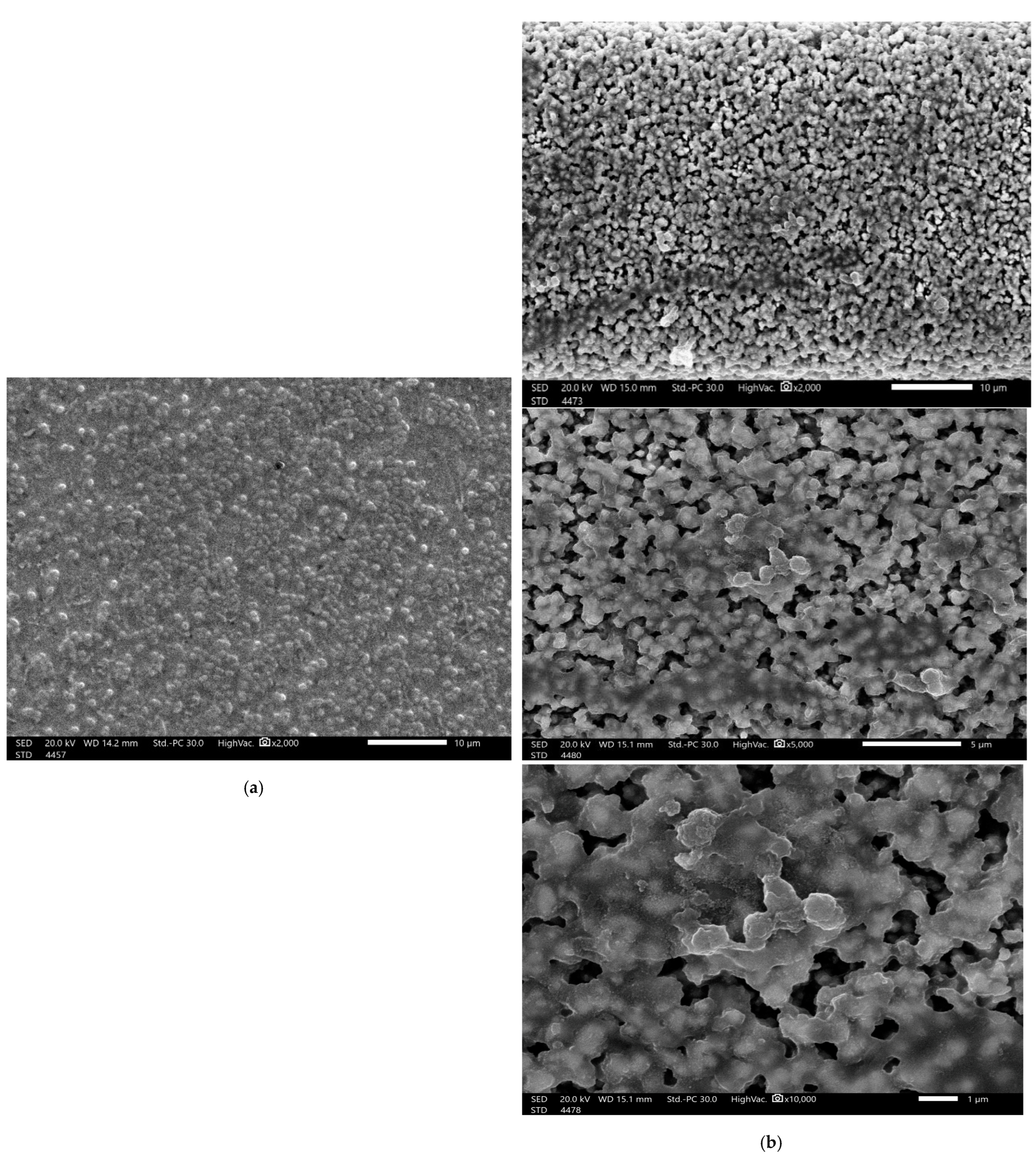 Molecules 28 04492 g006 Molecules 28 04492 g006