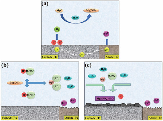 Molecules 28 04495 g007