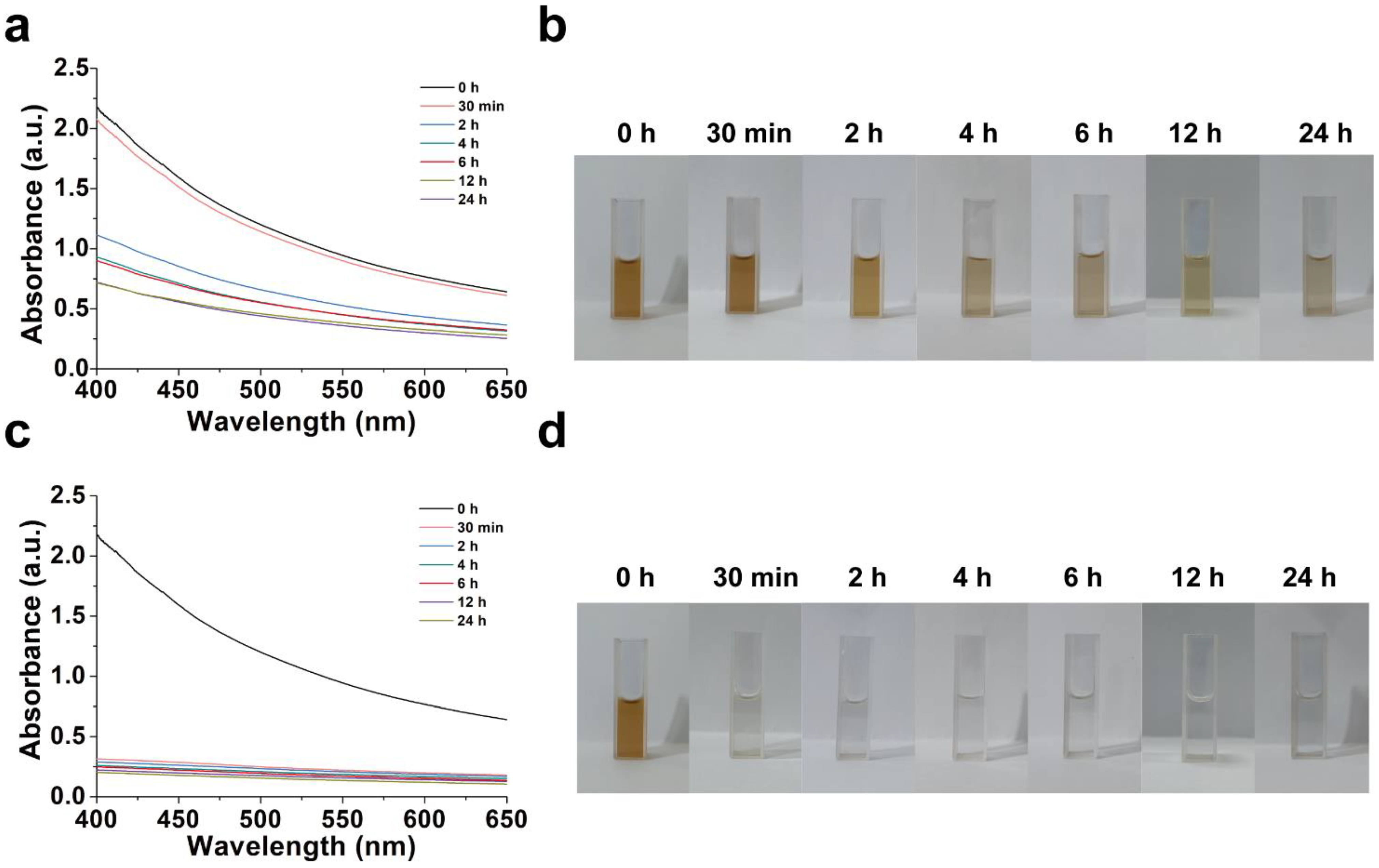 Molecules 28 04498 g003 Molecules 28 04498 g003