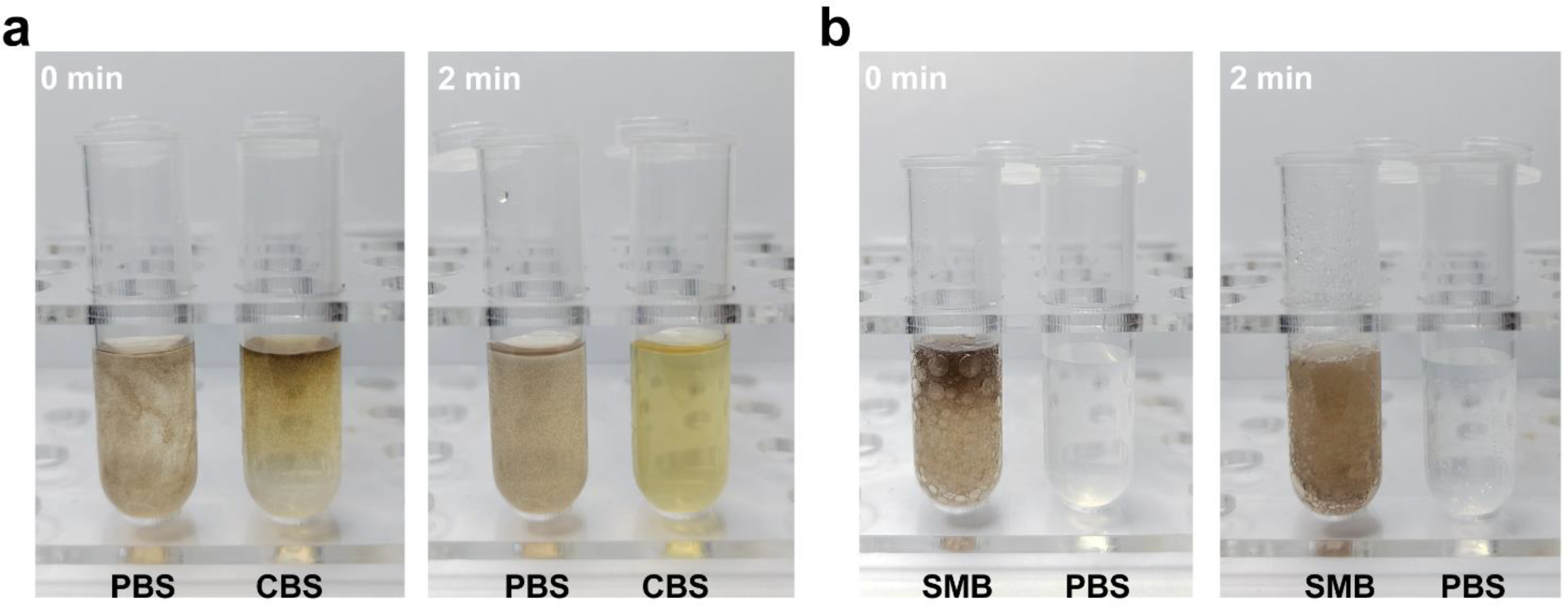 Molecules 28 04498 g004 Molecules 28 04498 g004
