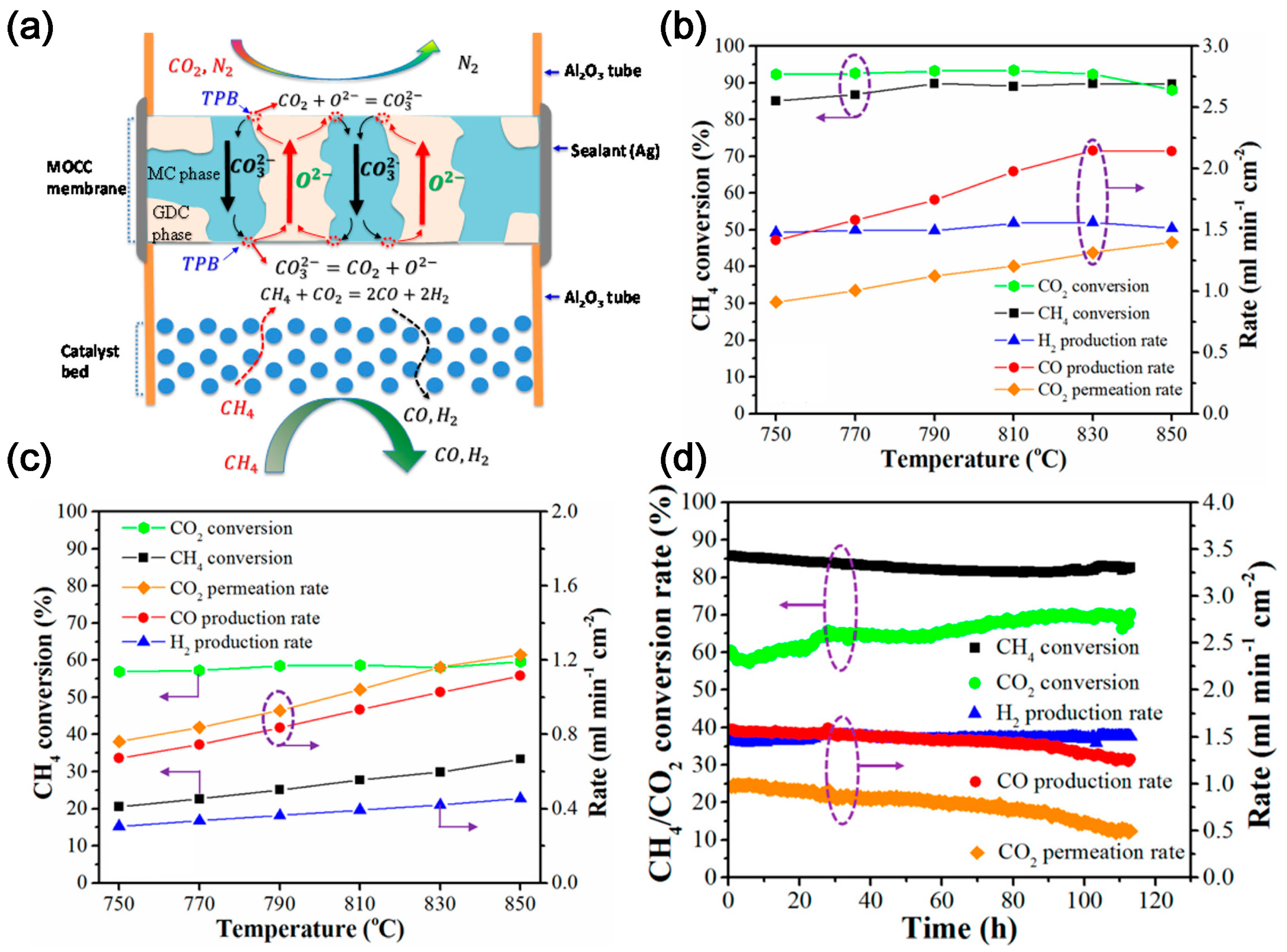 Molecules 28 04500 g004