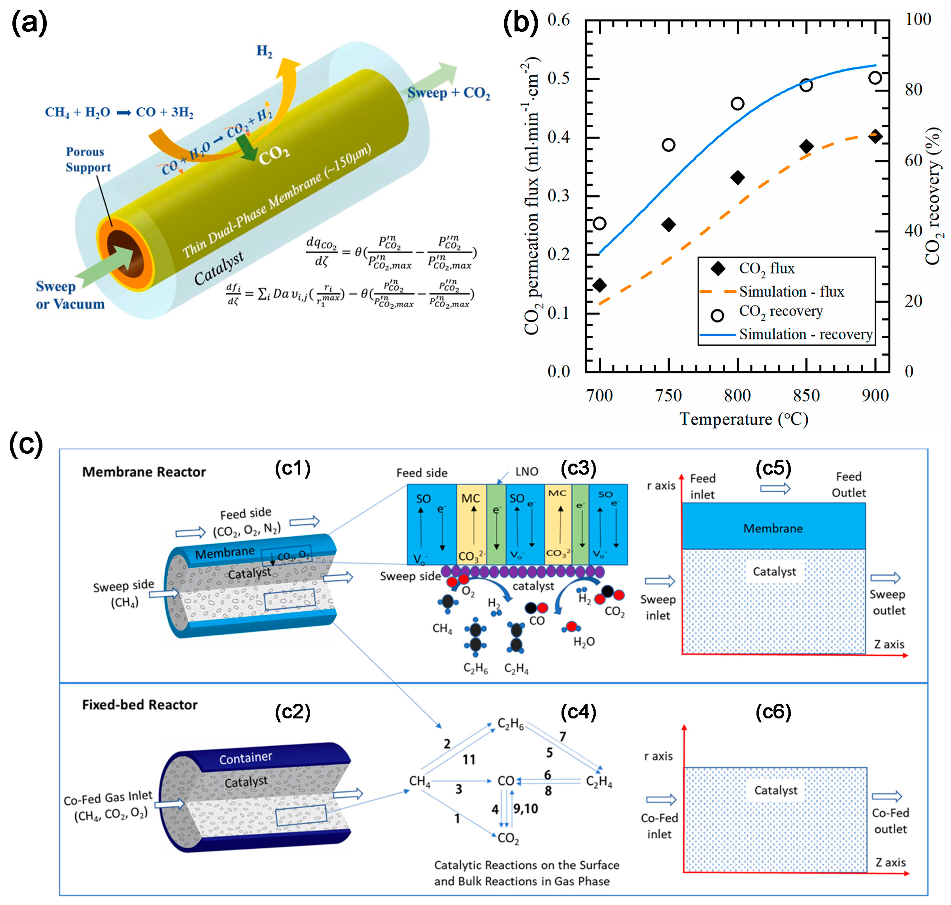 Molecules 28 04500 g005