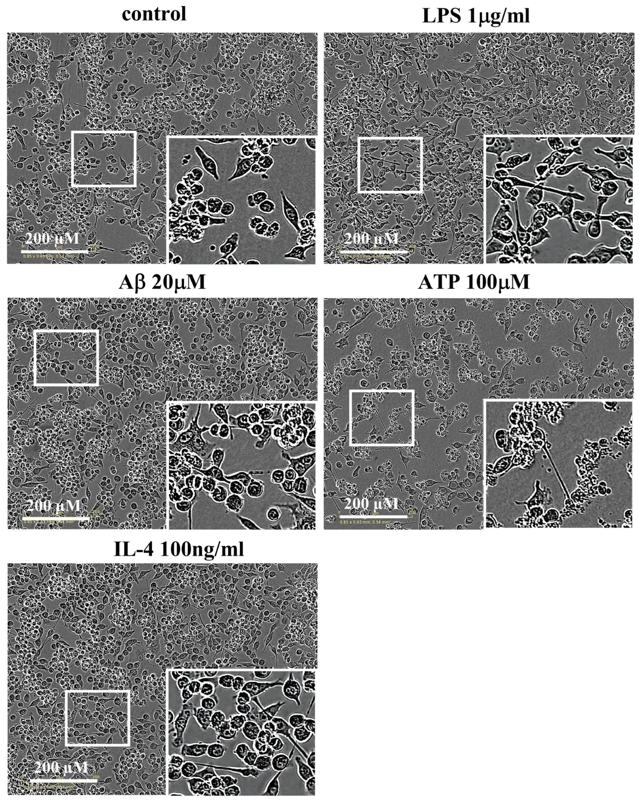 Molecules 28 04501 g002