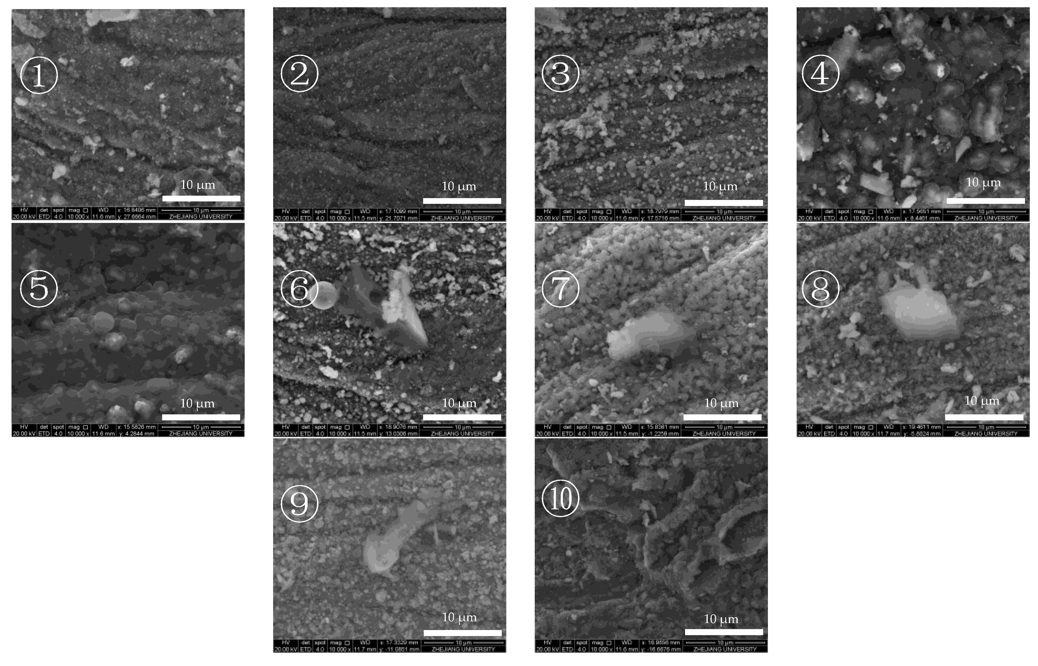 Molecules 28 04508 g002