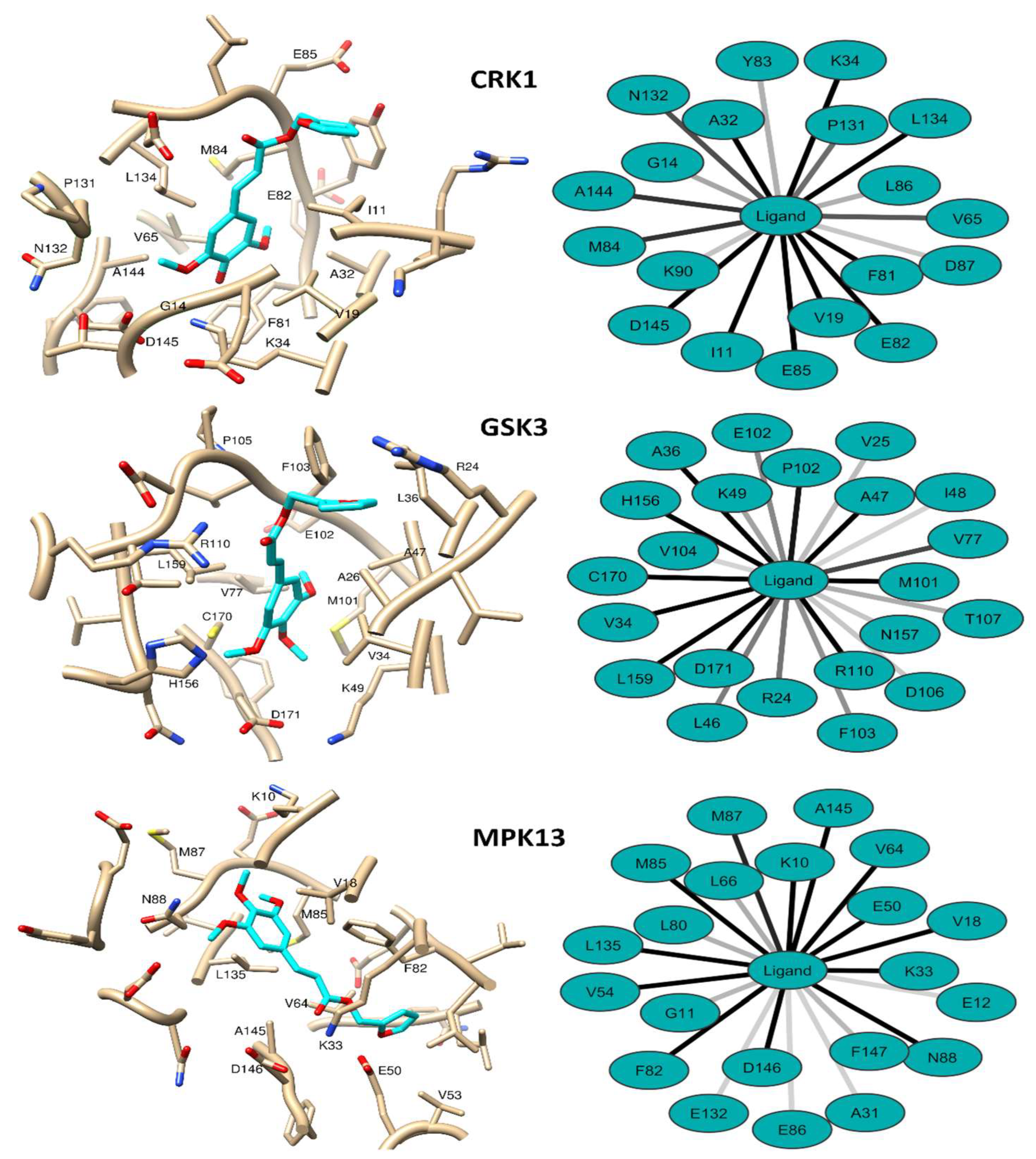 Molecules 28 04512 g008 Molecules 28 04512 g008