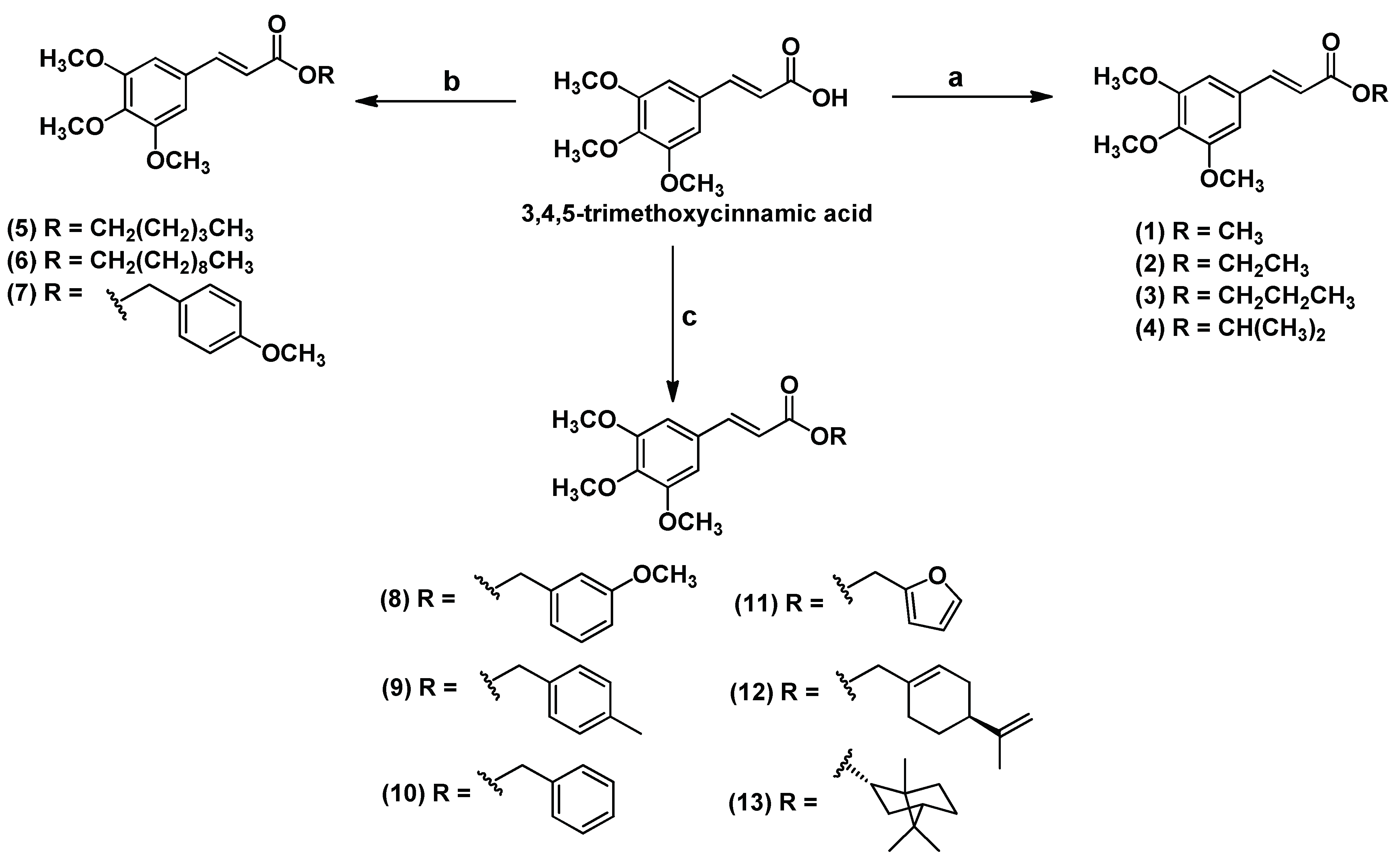 Molecules 28 04512 sch001 Molecules 28 04512 sch001