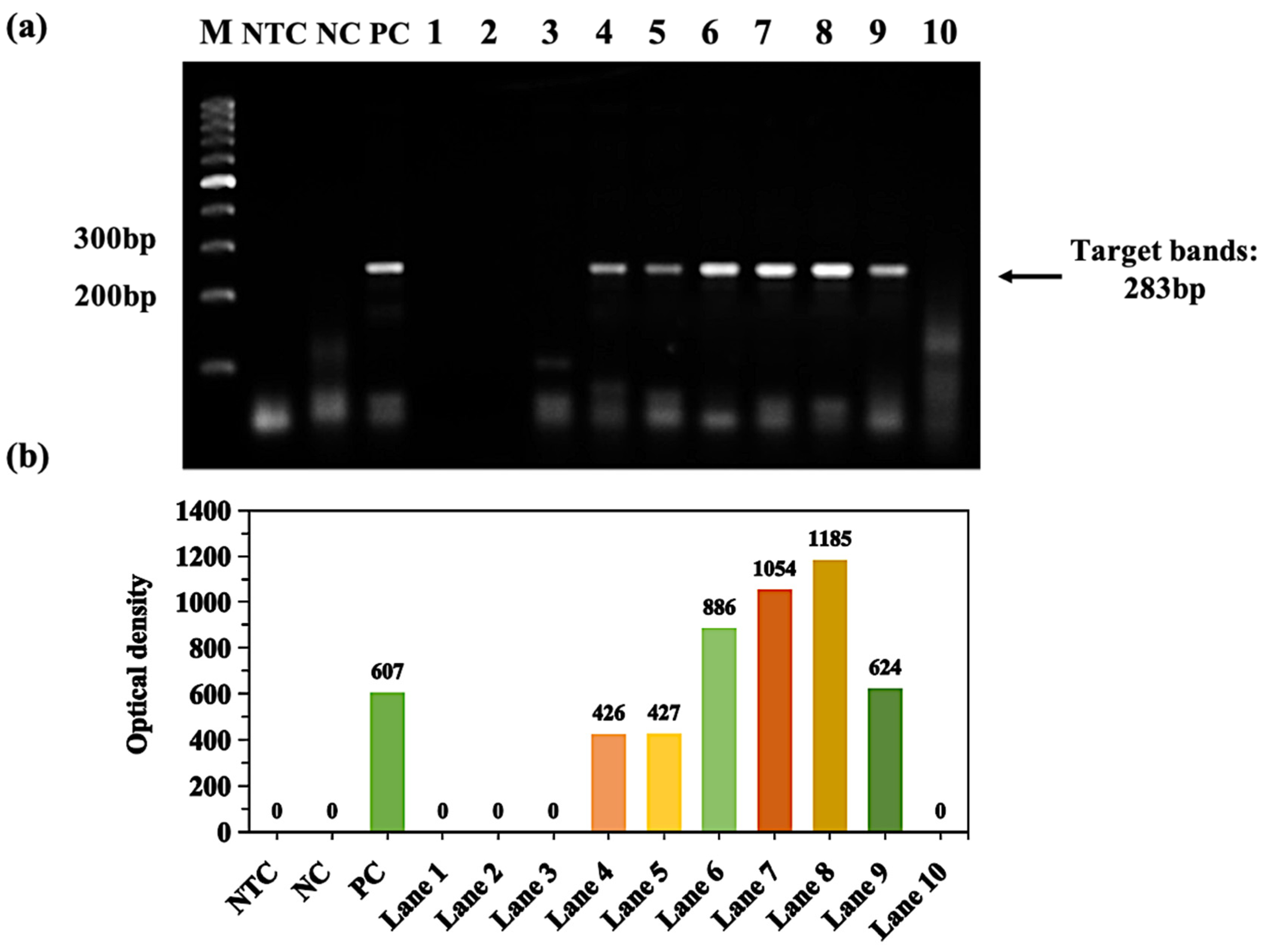 Molecules 28 04515 g002 Molecules 28 04515 g002