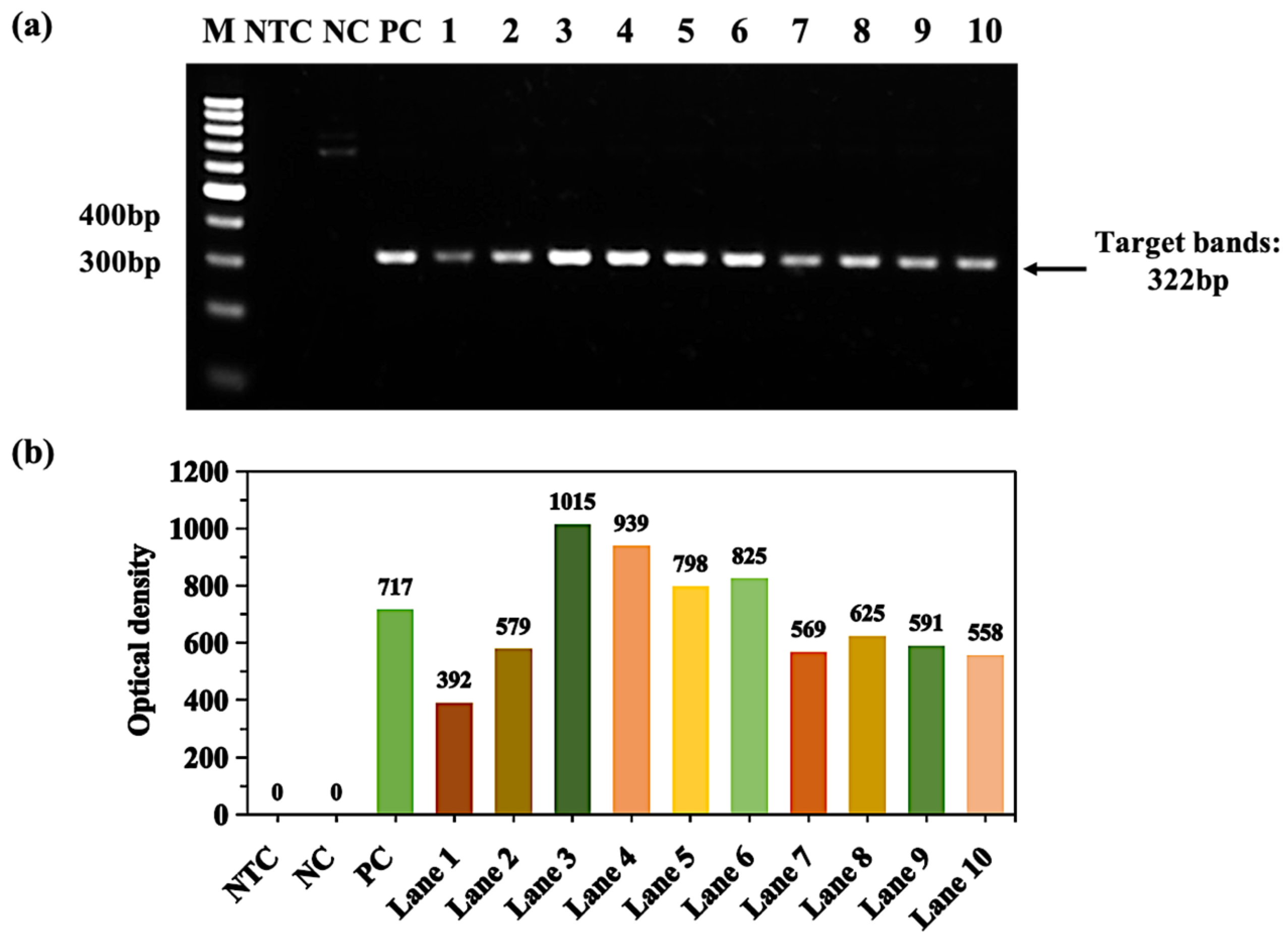 Molecules 28 04515 g005 Molecules 28 04515 g005
