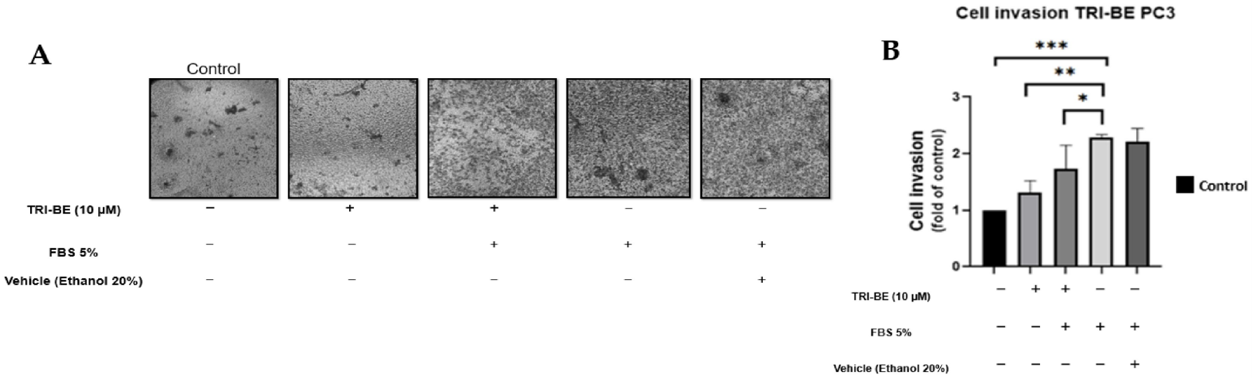 Molecules 28 04524 g005 Molecules 28 04524 g005