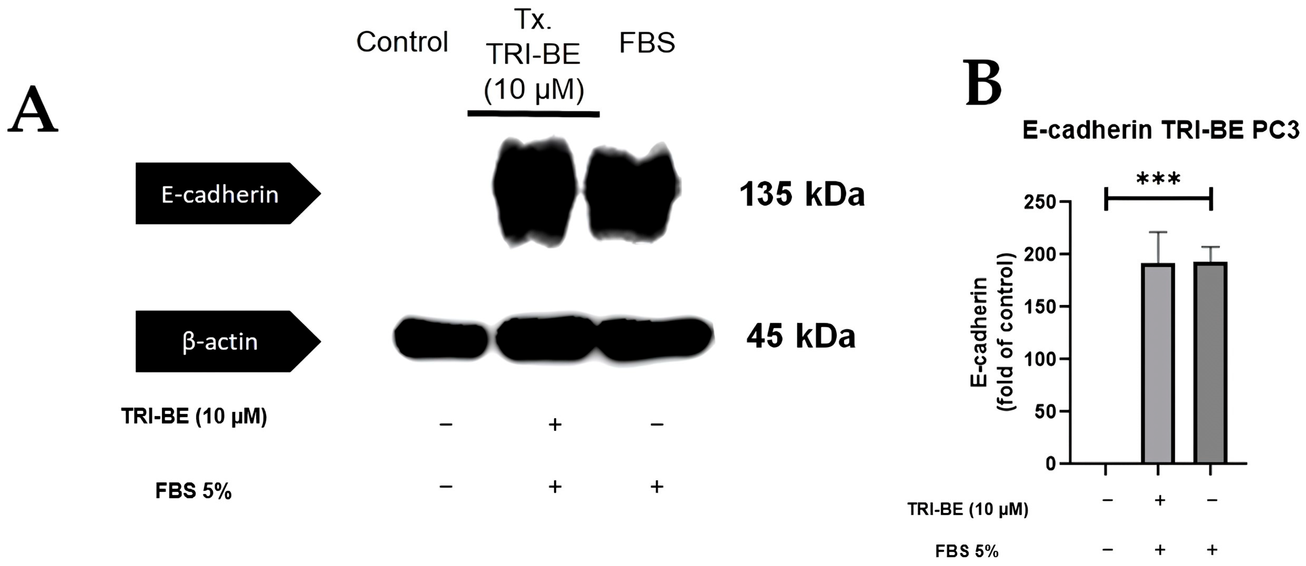 Molecules 28 04524 g009 Molecules 28 04524 g009