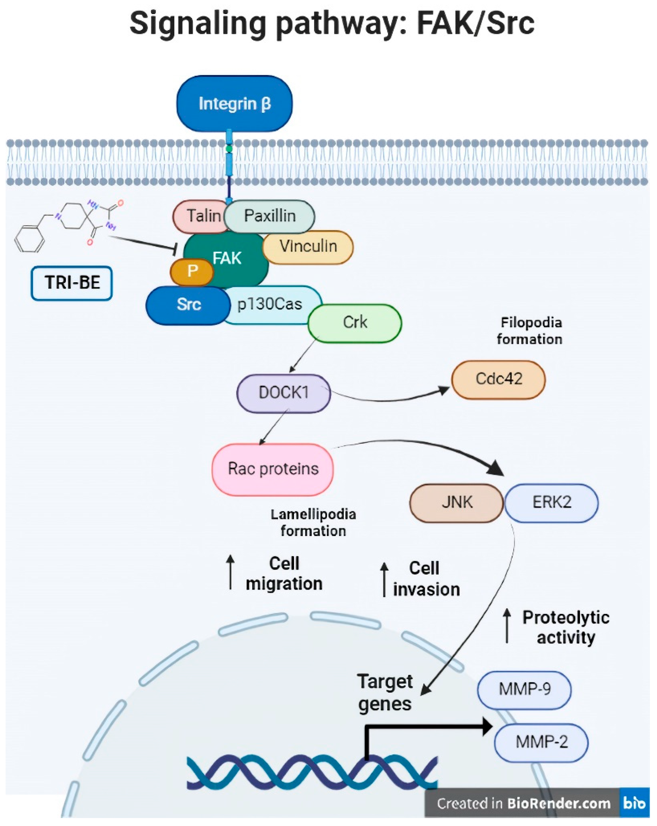 Molecules 28 04524 g011 Molecules 28 04524 g011