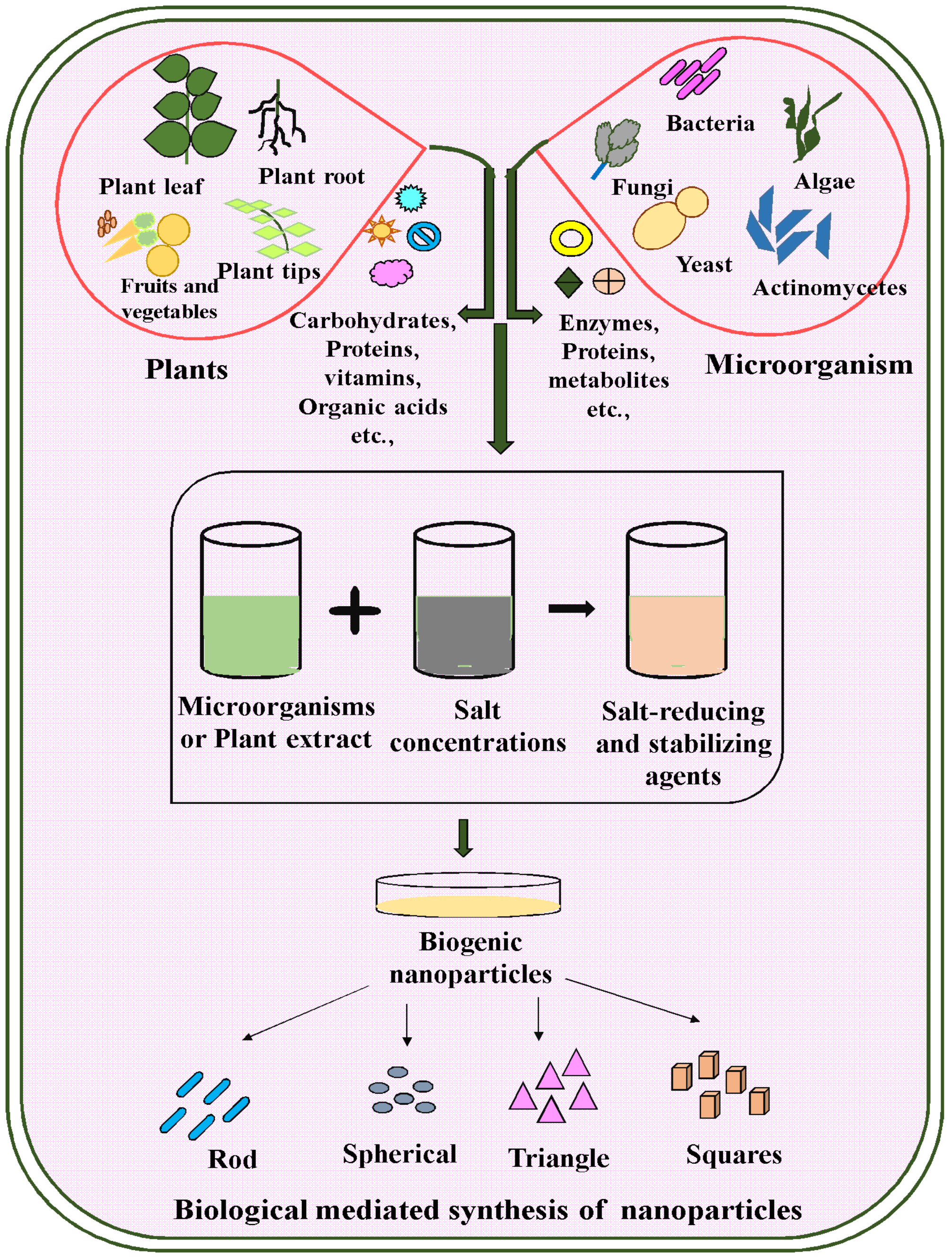 Molecules 28 04527 g003