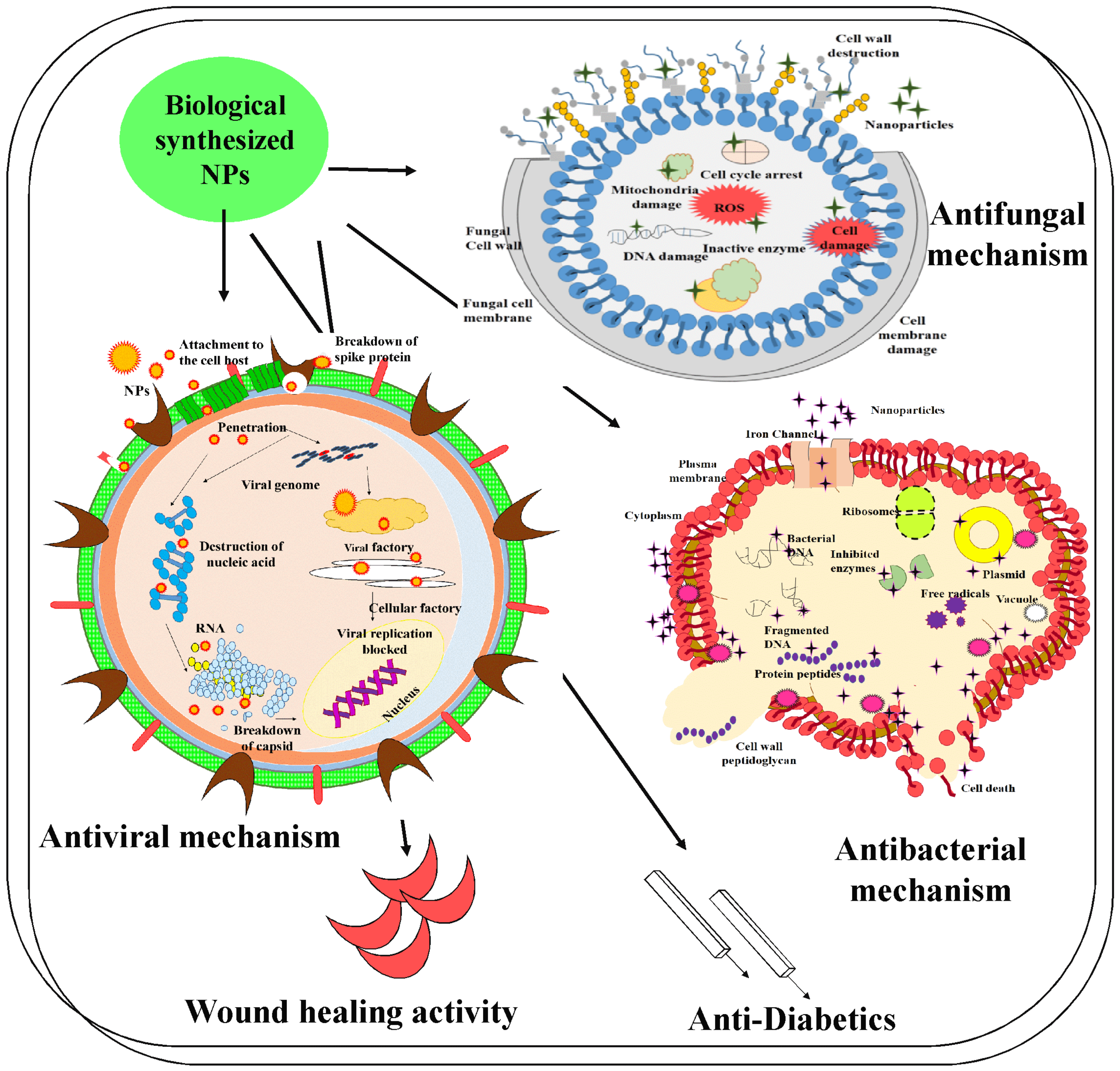 Molecules 28 04527 g004
