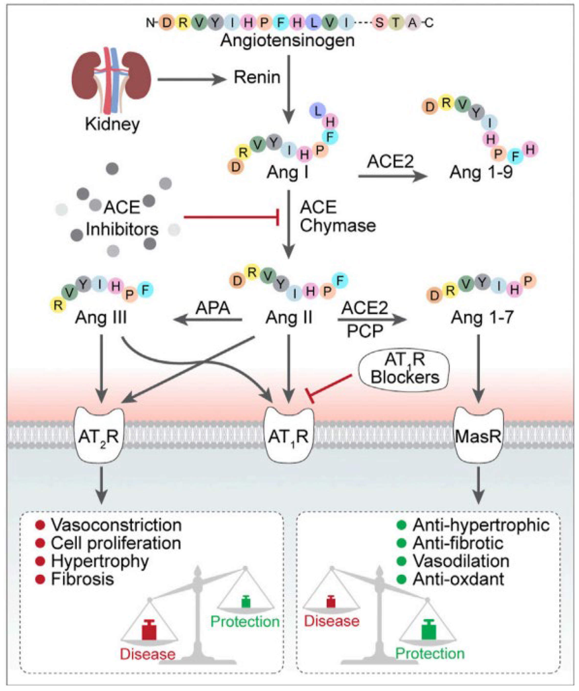 Molecules 28 04532 g001