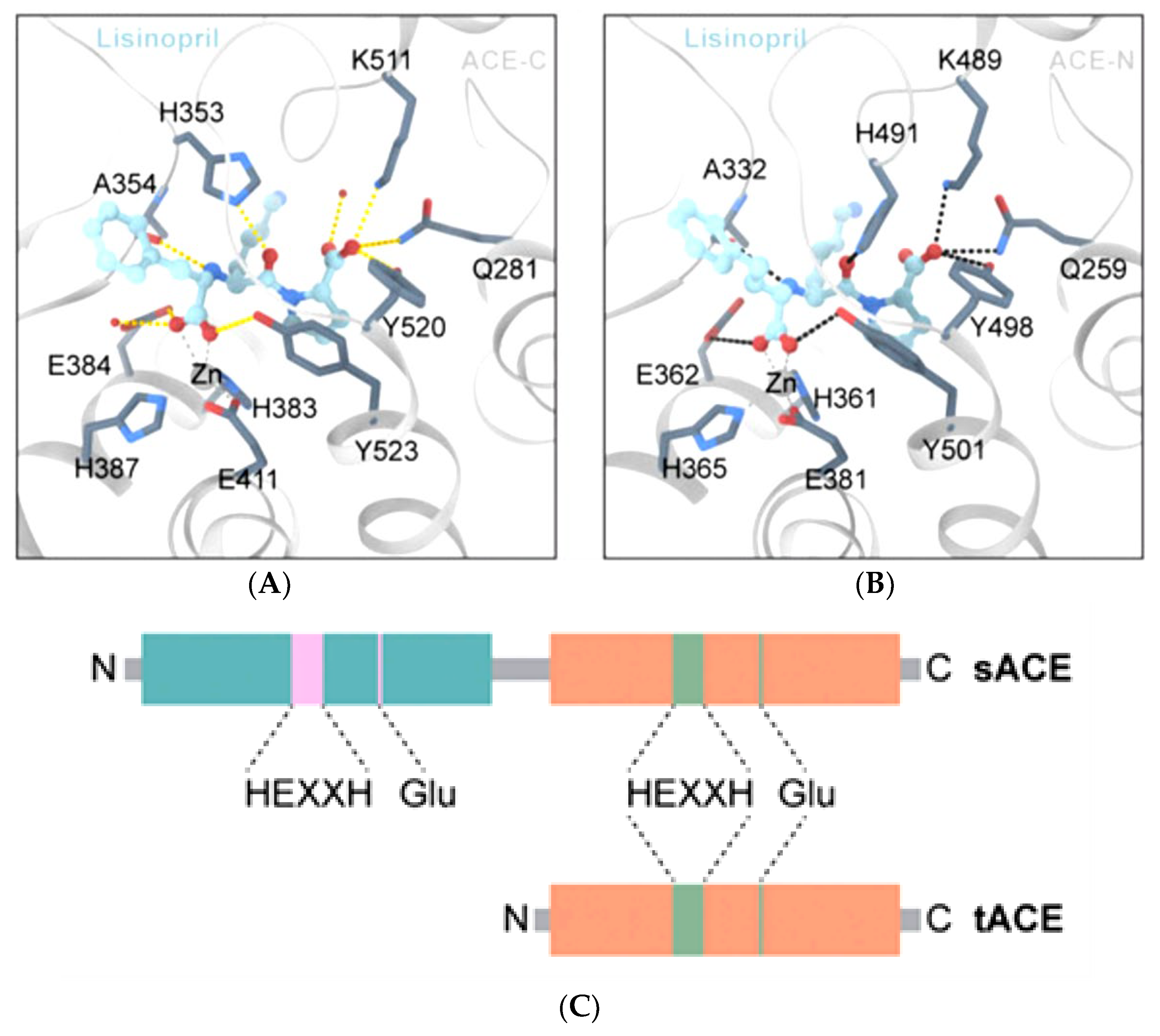 Molecules 28 04532 g004
