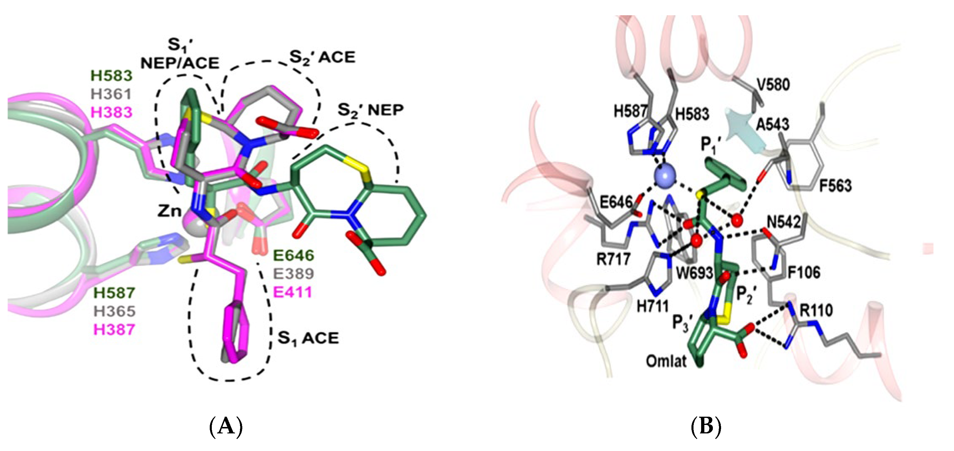 Molecules 28 04532 g007