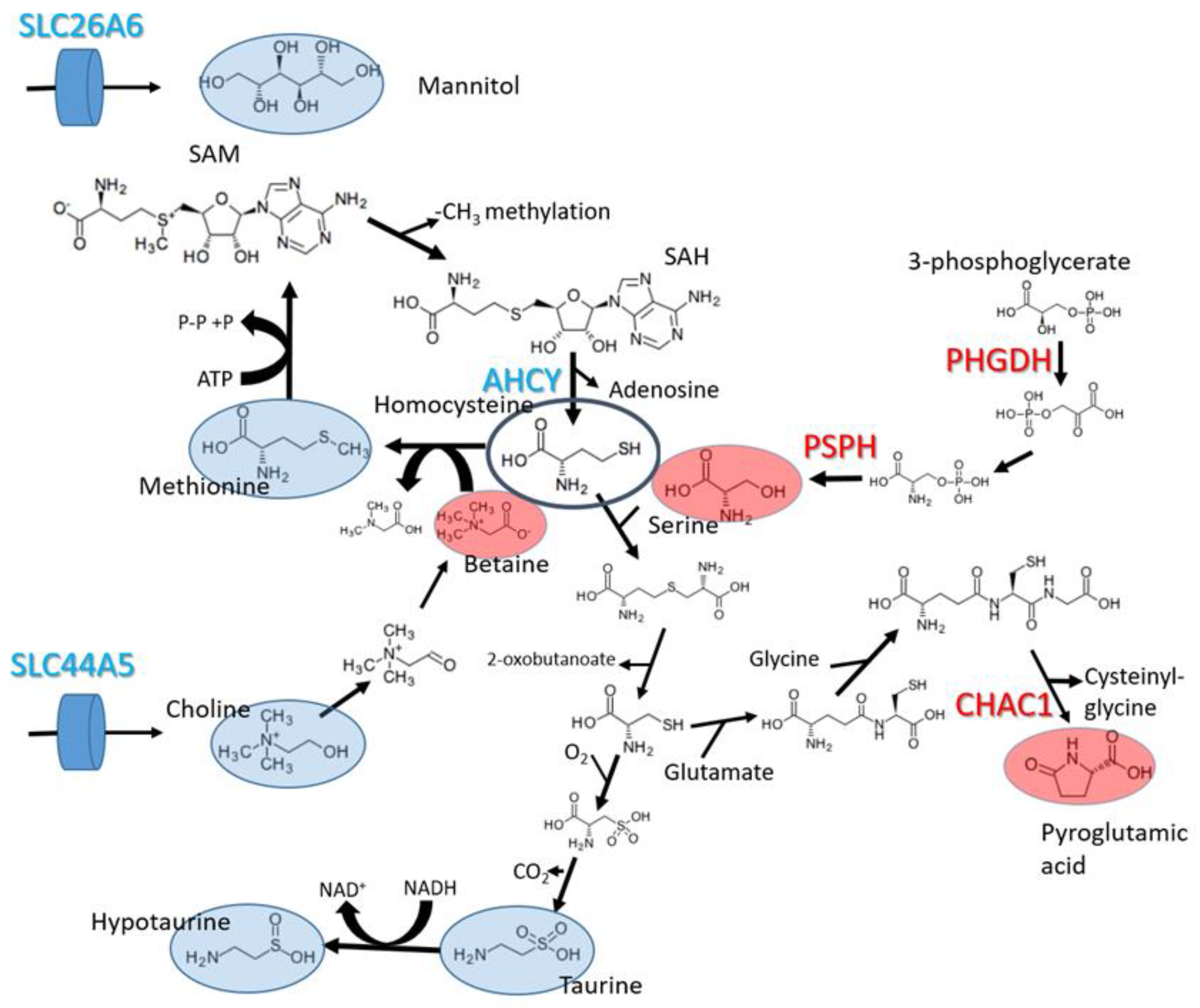 Molecules 28 04535 g005