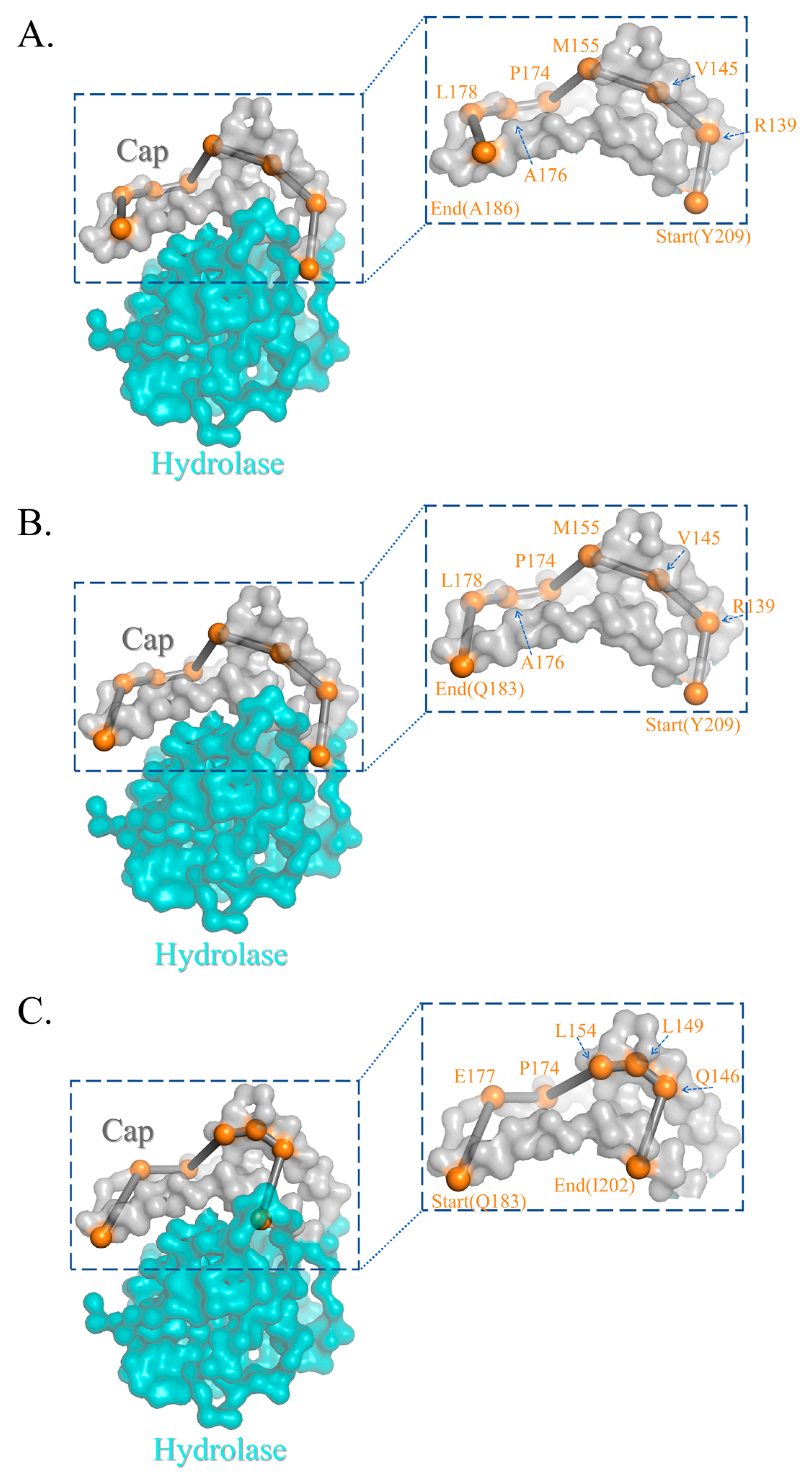 Molecules 28 04545 g003