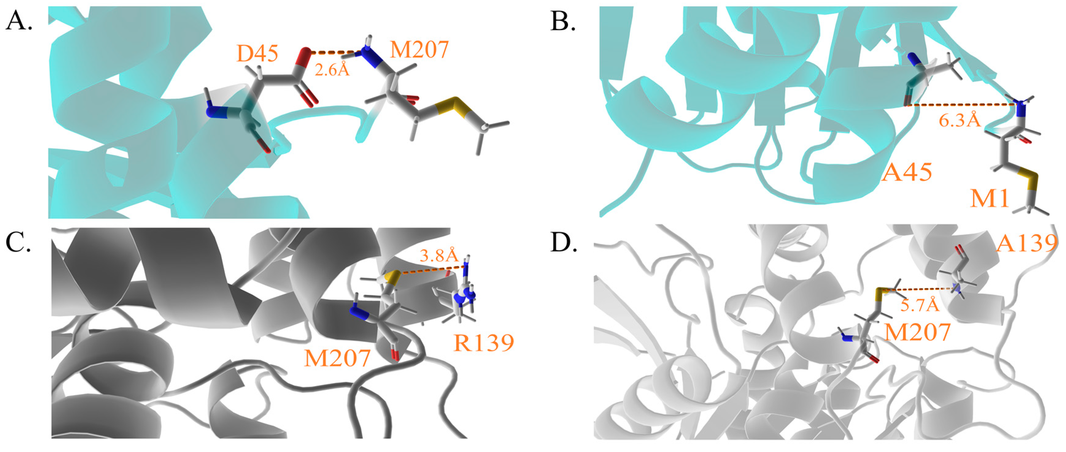 Molecules 28 04545 g008