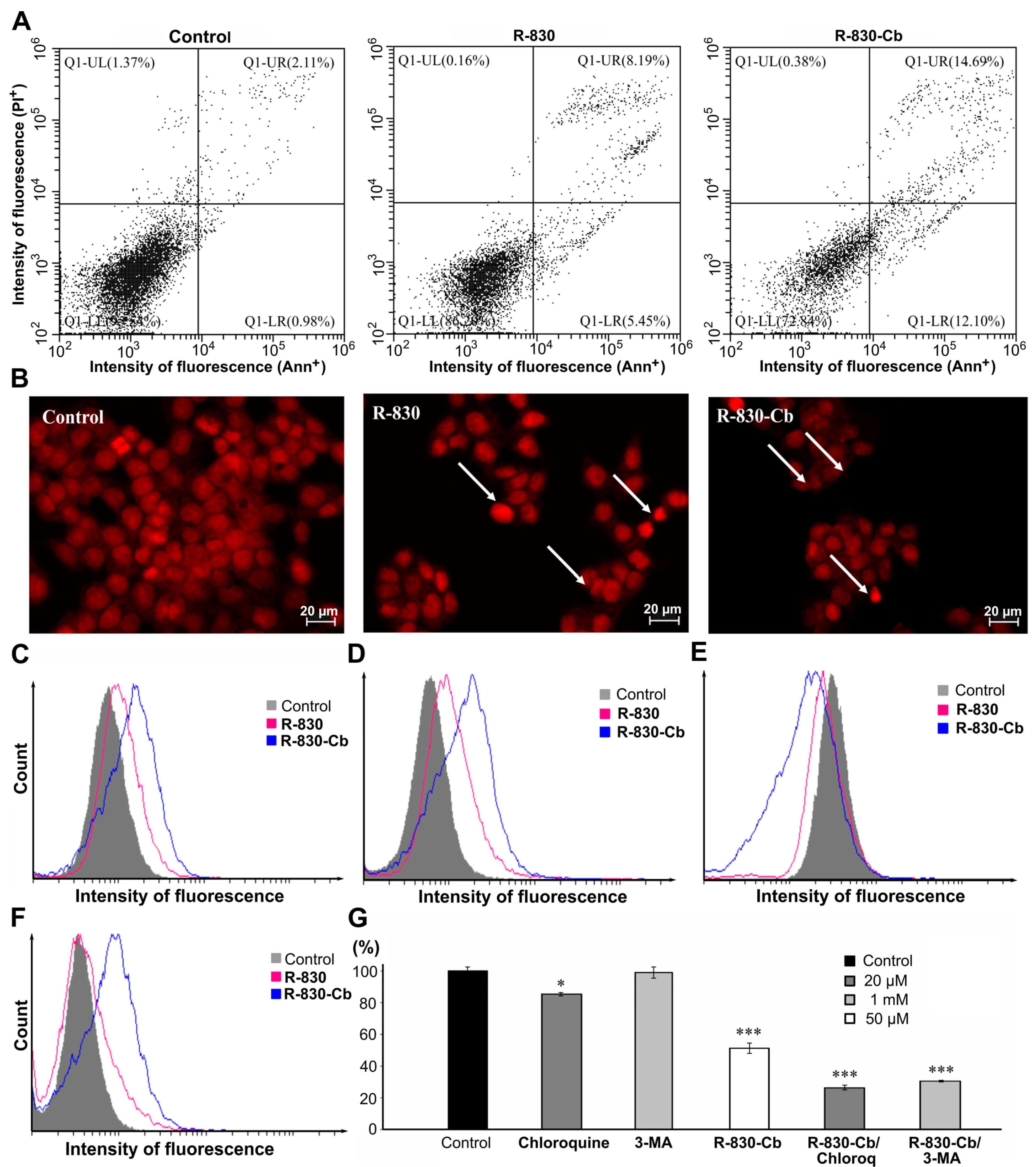 Molecules 28 04547 g003 Molecules 28 04547 g003
