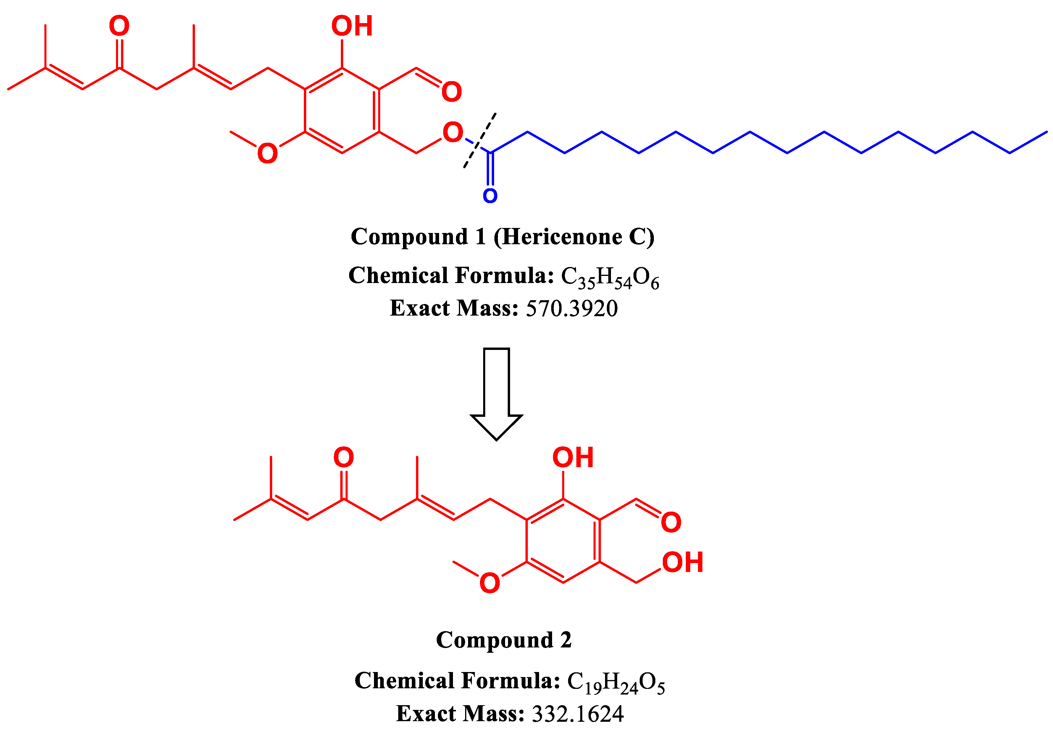 Molecules 28 04549 g003