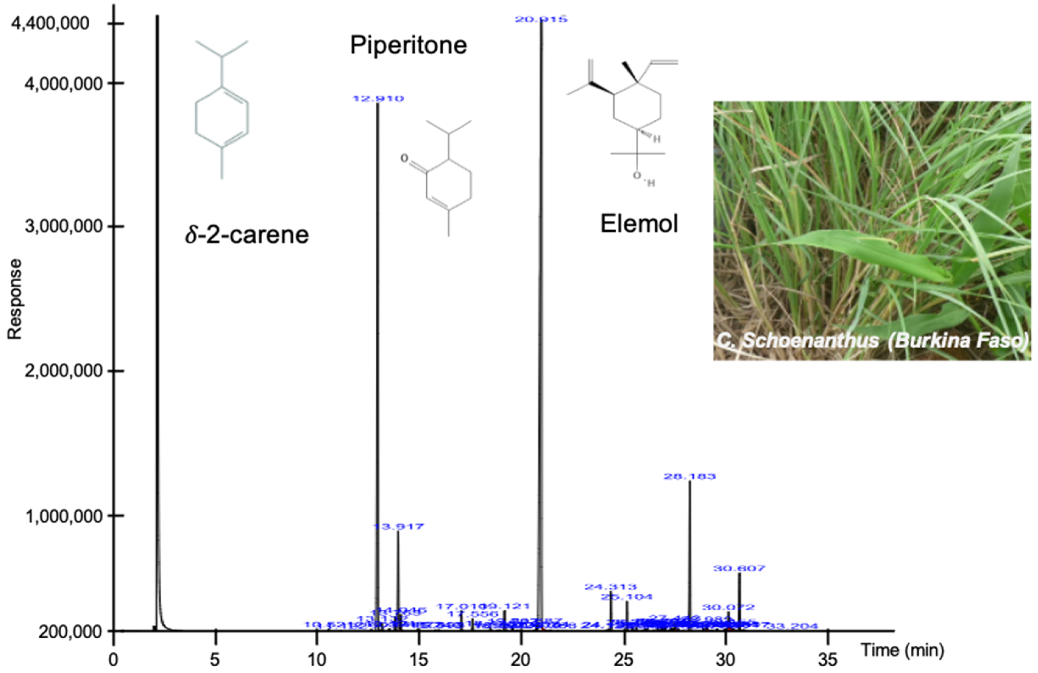 Molecules 28 04561 g001 Molecules 28 04561 g001