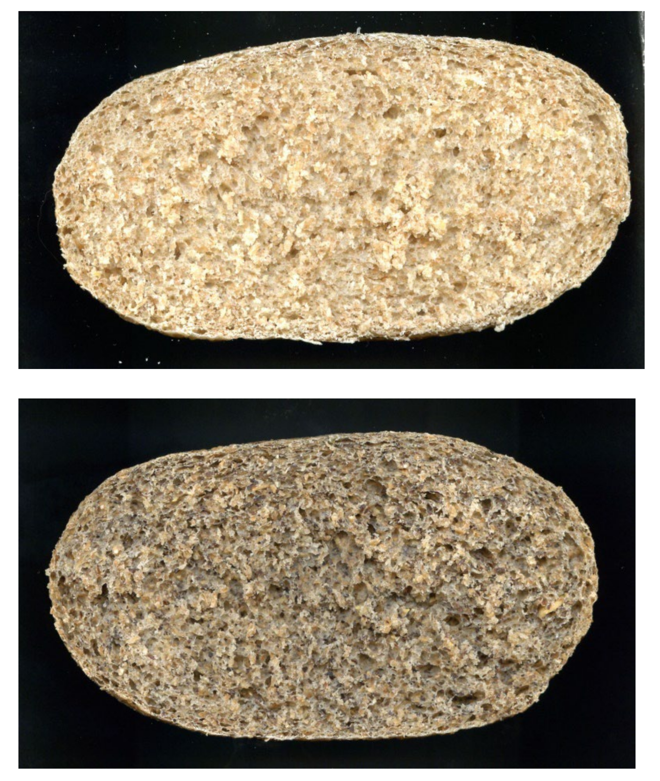 Molecules 28 04565 g001