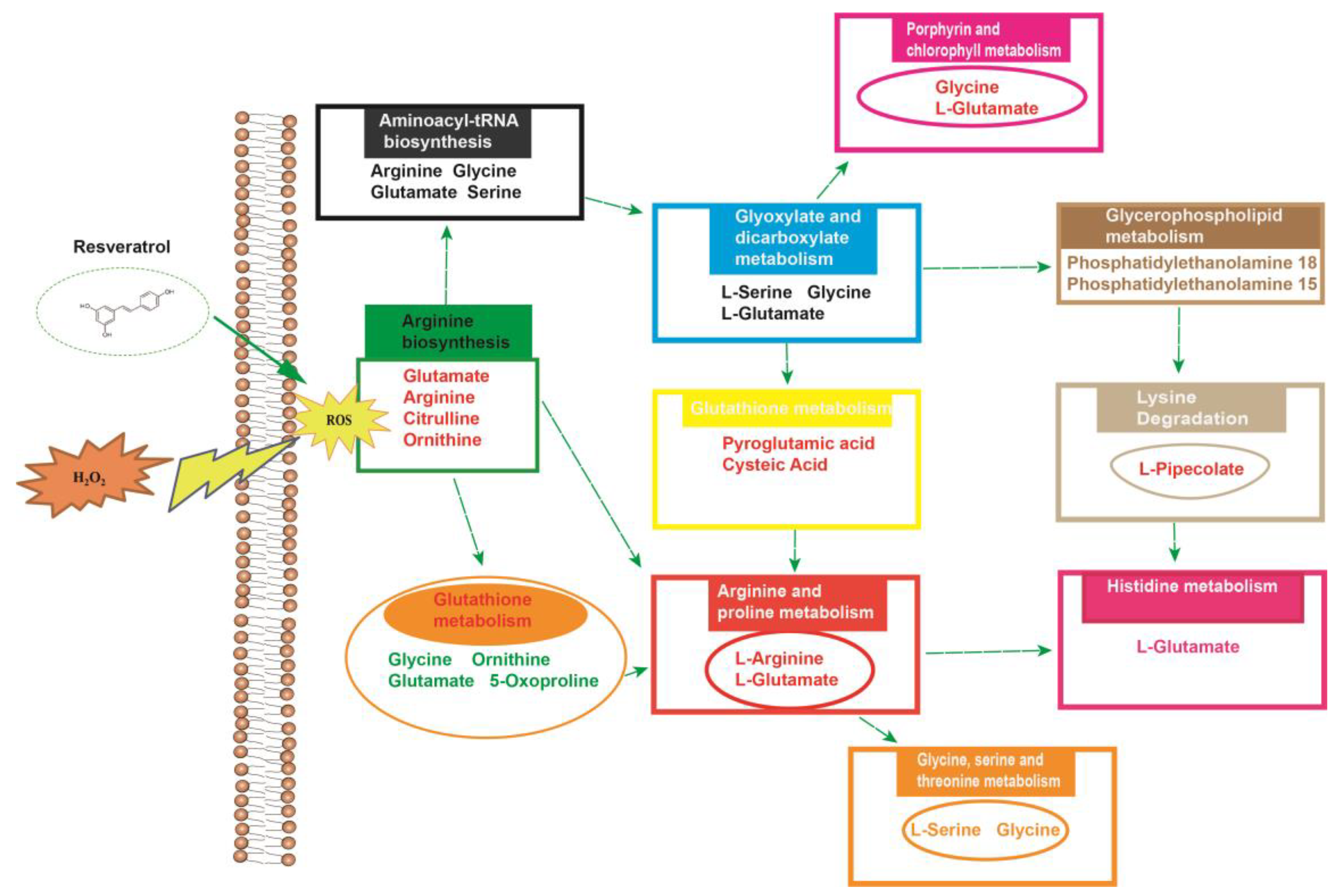 Molecules 28 04569 g010