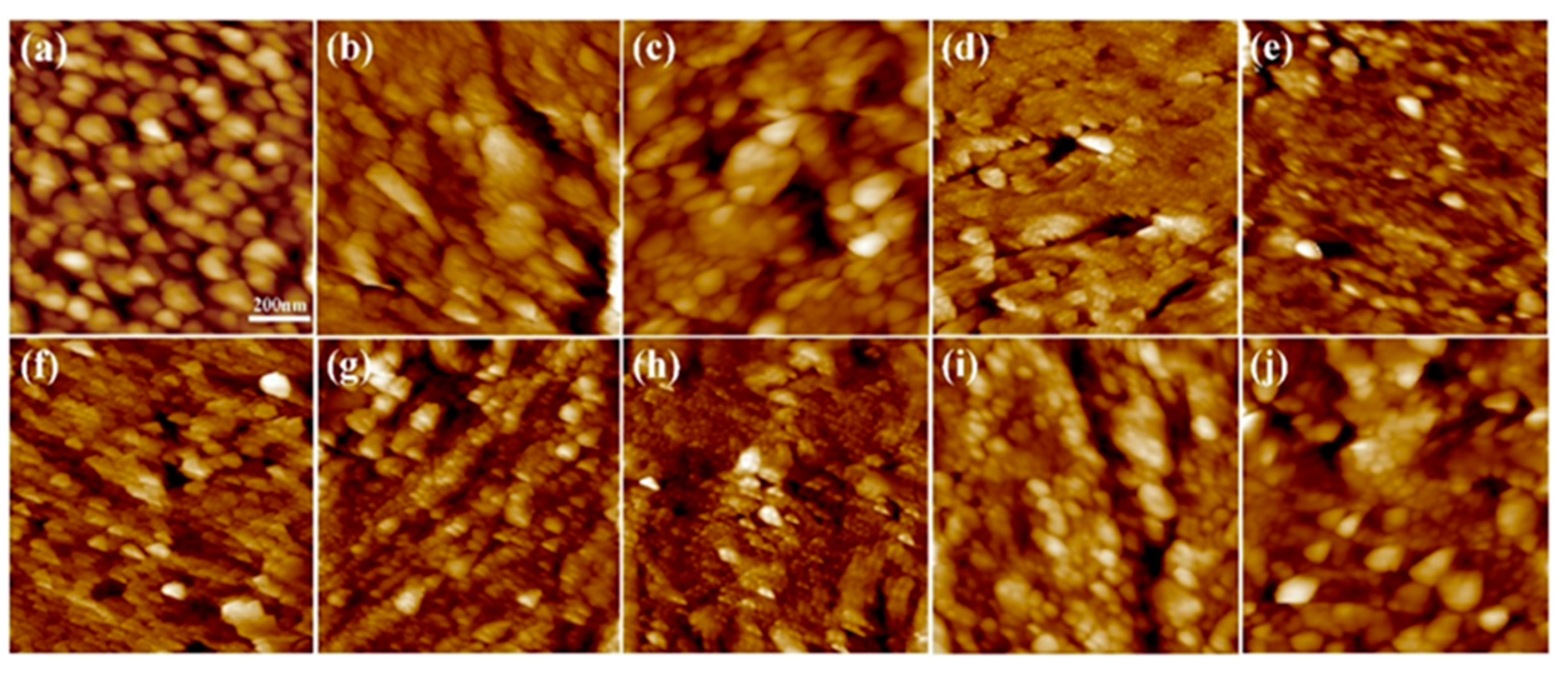 Molecules 28 04570 g004 Molecules 28 04570 g004