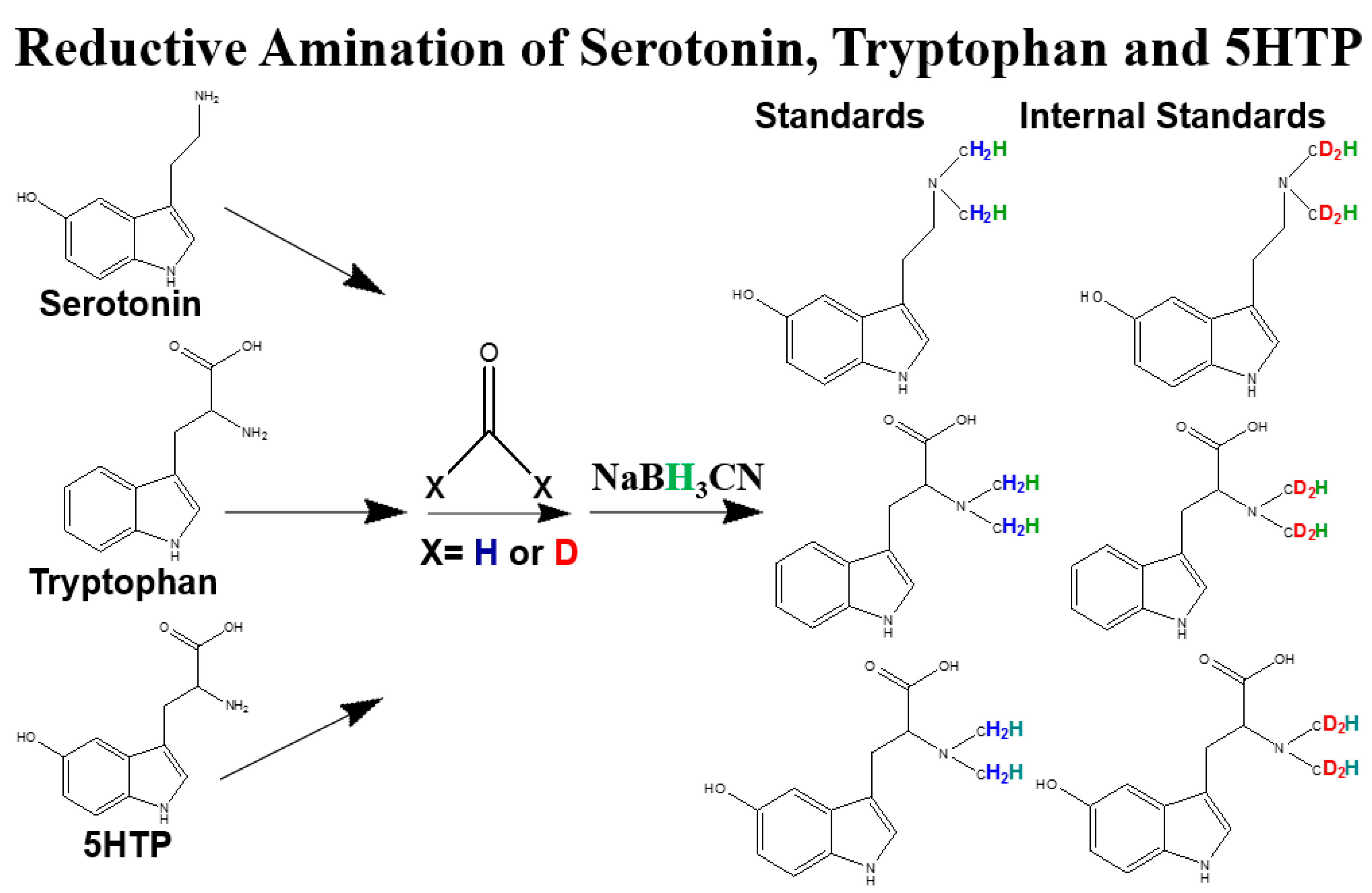 Molecules 28 04580 g001