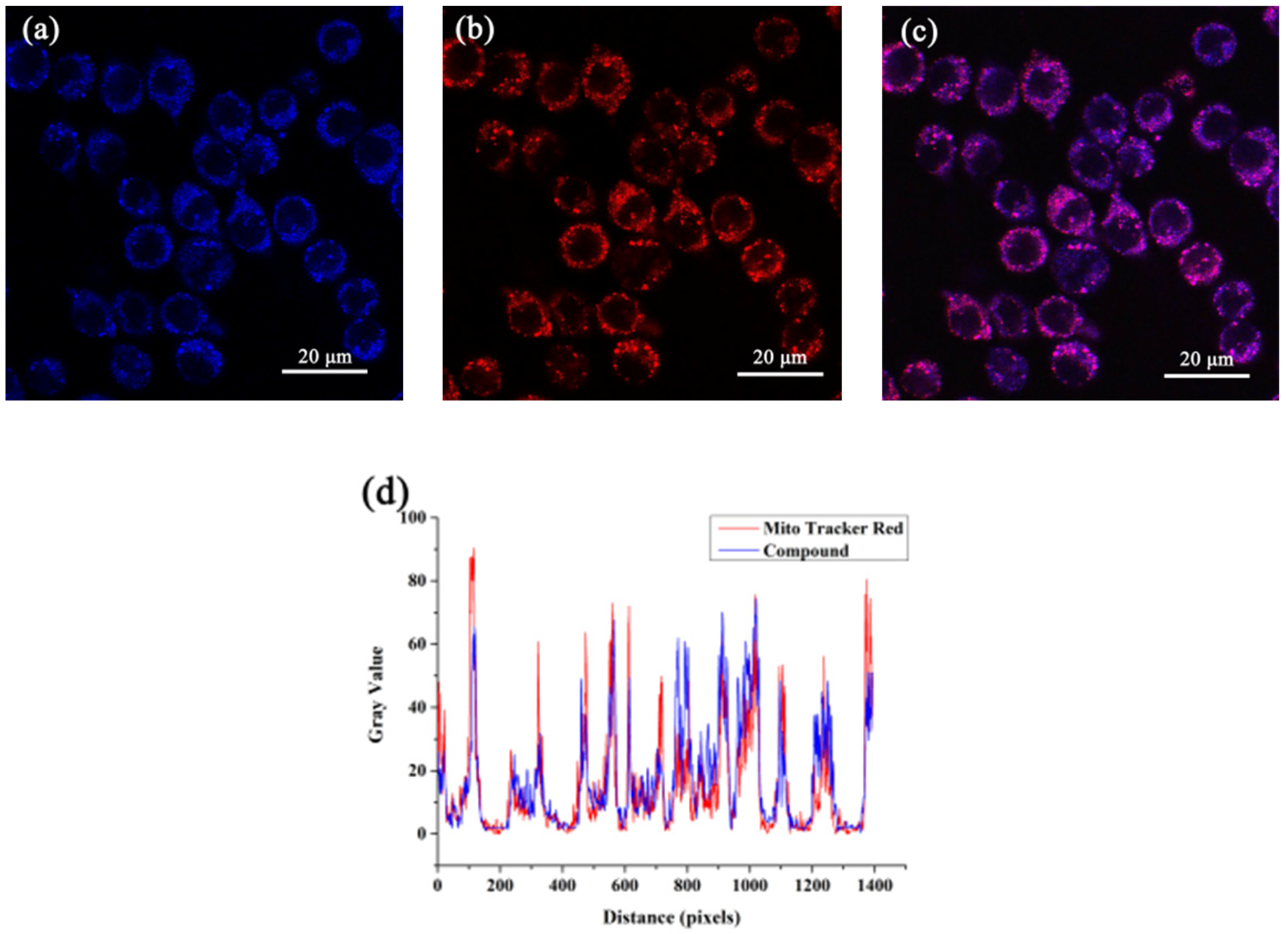 Molecules 28 04592 g009 Molecules 28 04592 g009