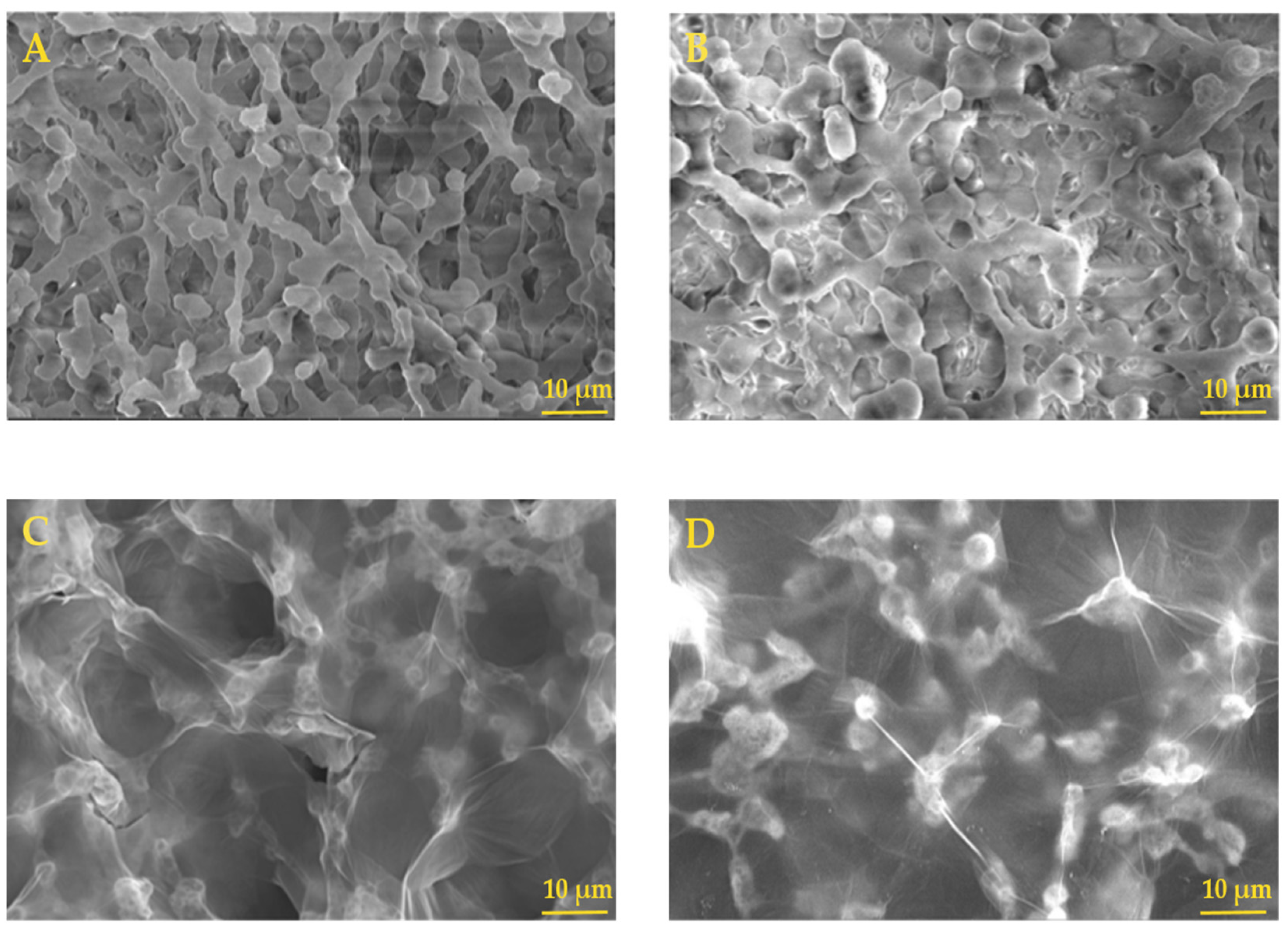 Molecules 28 04599 g002 Molecules 28 04599 g002