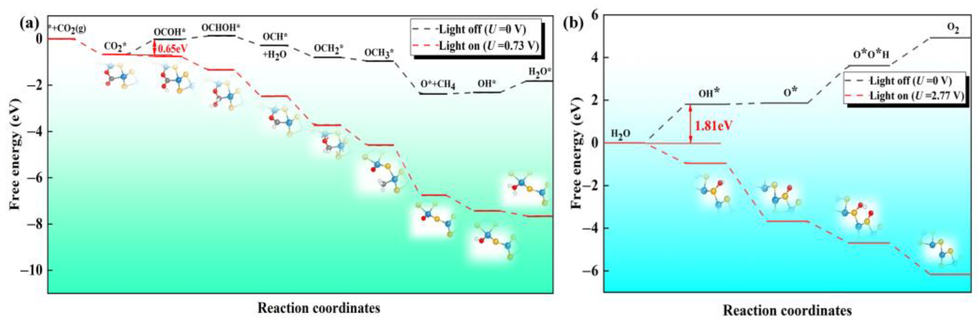 Molecules 28 04602 g007