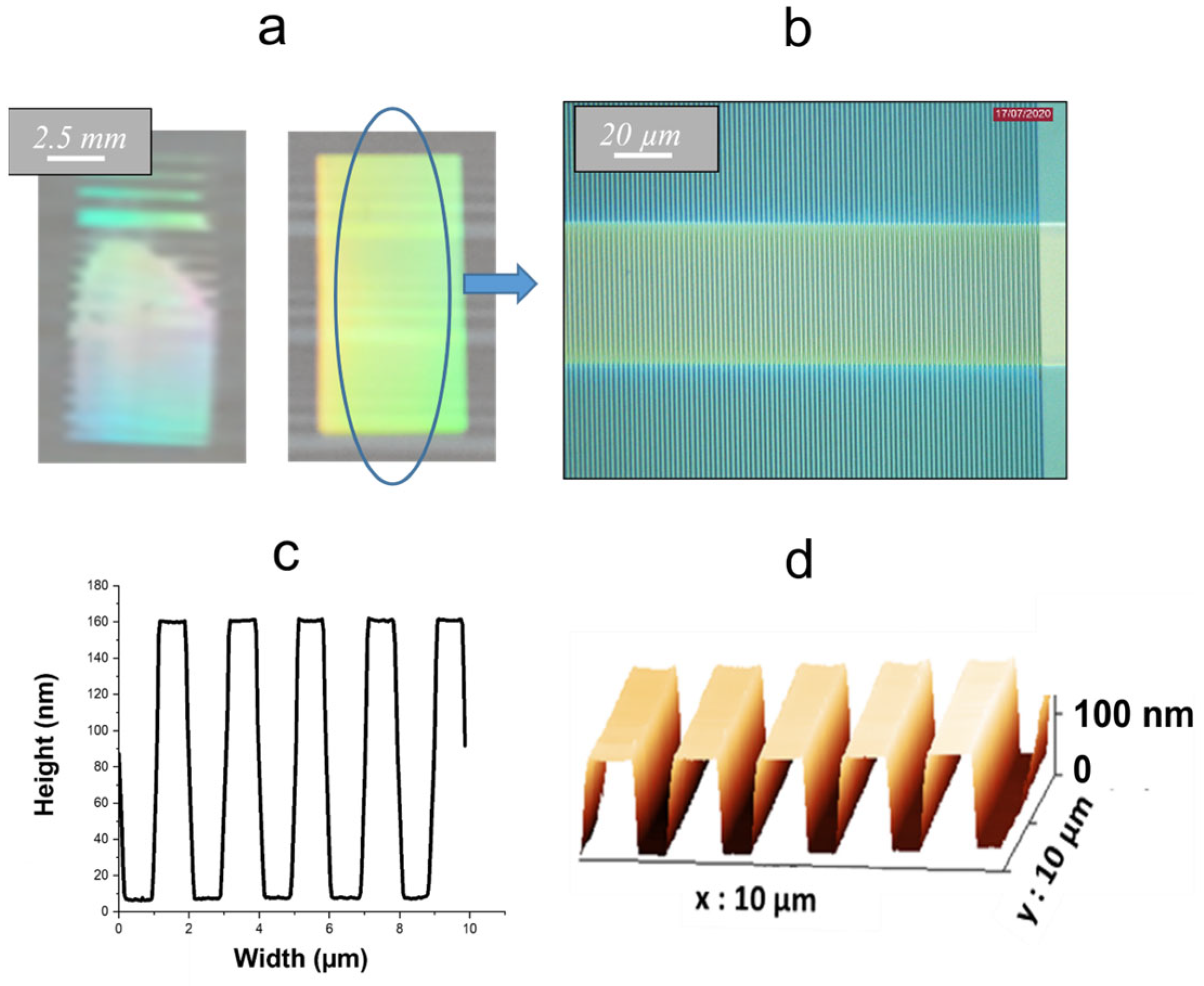 Molecules 28 04608 g004 Molecules 28 04608 g004