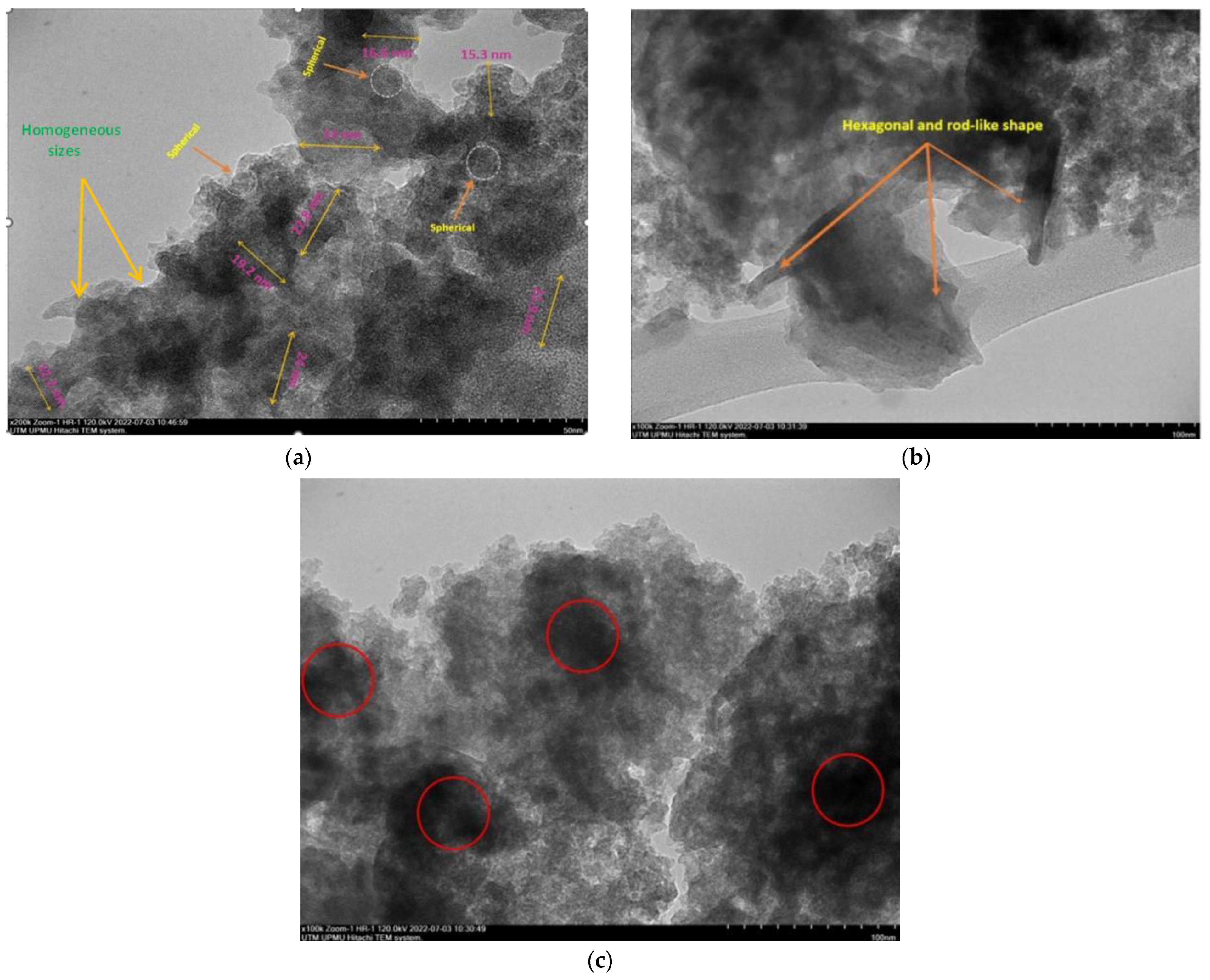 Molecules 28 04614 g004 Molecules 28 04614 g004